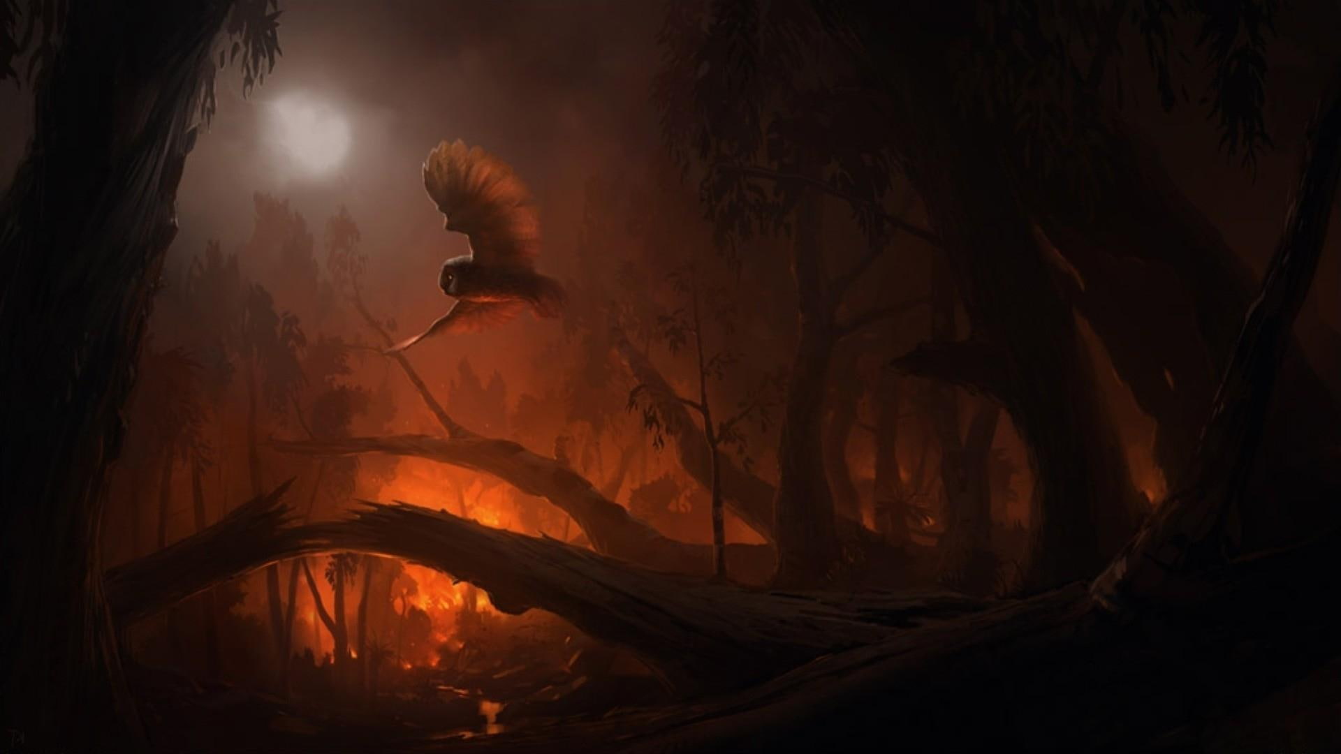 woods, brown, fantasy, flying, 1080P, owl, magic, moon, illustration, 1920x1080, bird, HD Wallpaper