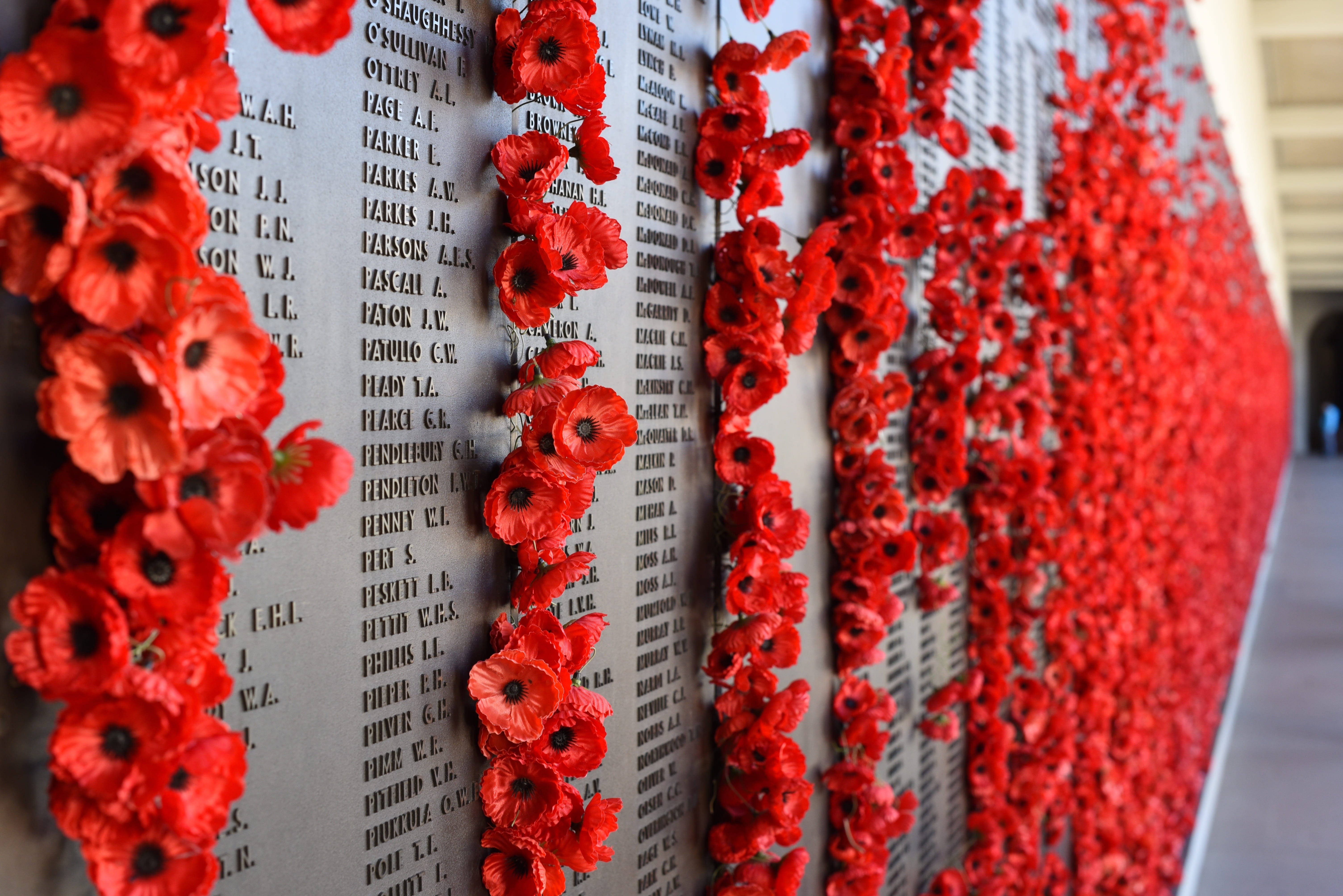 pattern, textile, text, photography, wwi, non-western script, sacrifice, communication, 5K, flower, wall, red, no people, army, flowers, indoors, day, HD Wallpaper