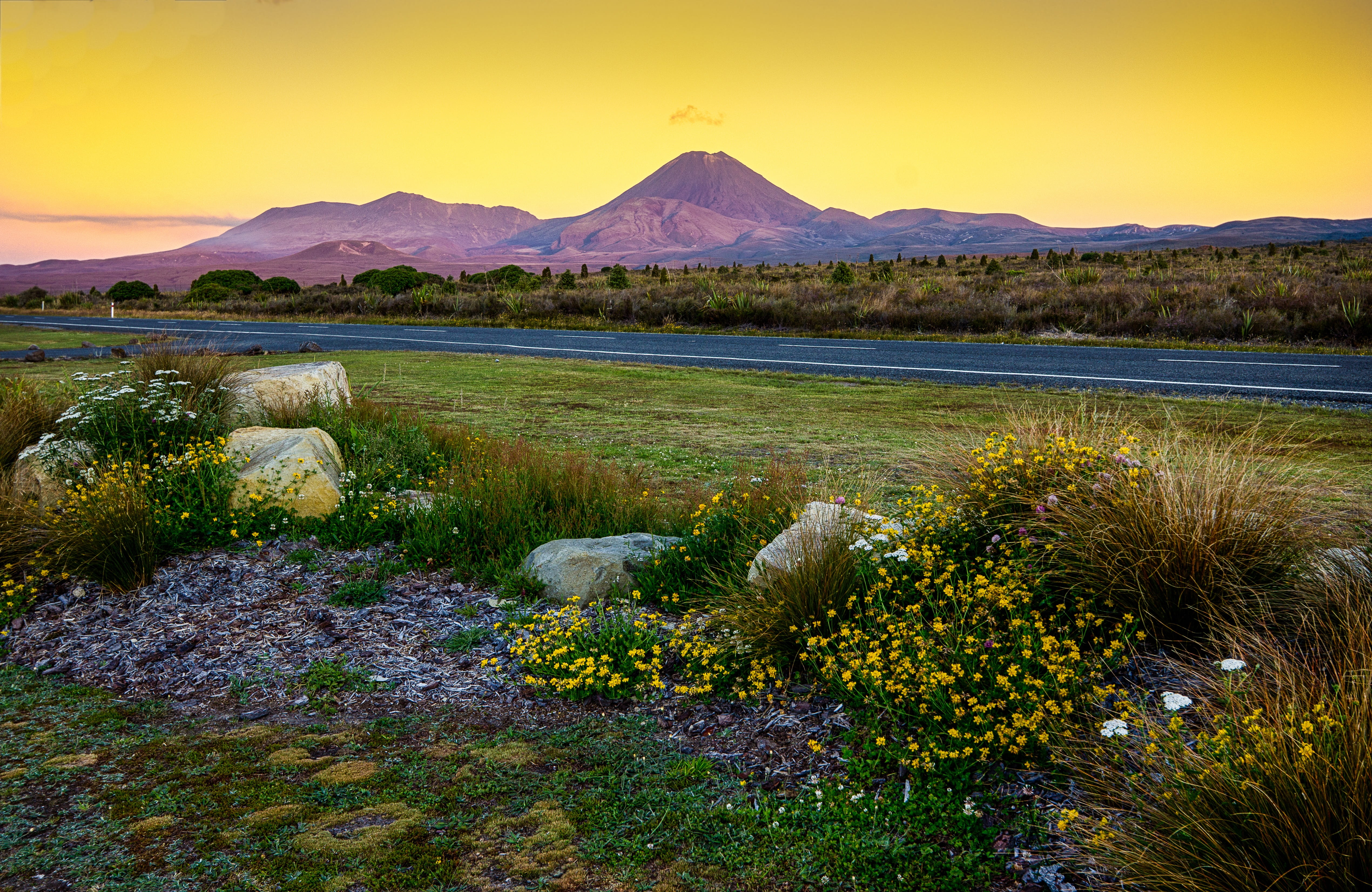 concrete, ground, nature, near, scenics - nature, beauty in nature, road, lord who rings, environment, water, covered, travel destinations, grass, tongariro, HD Wallpaper