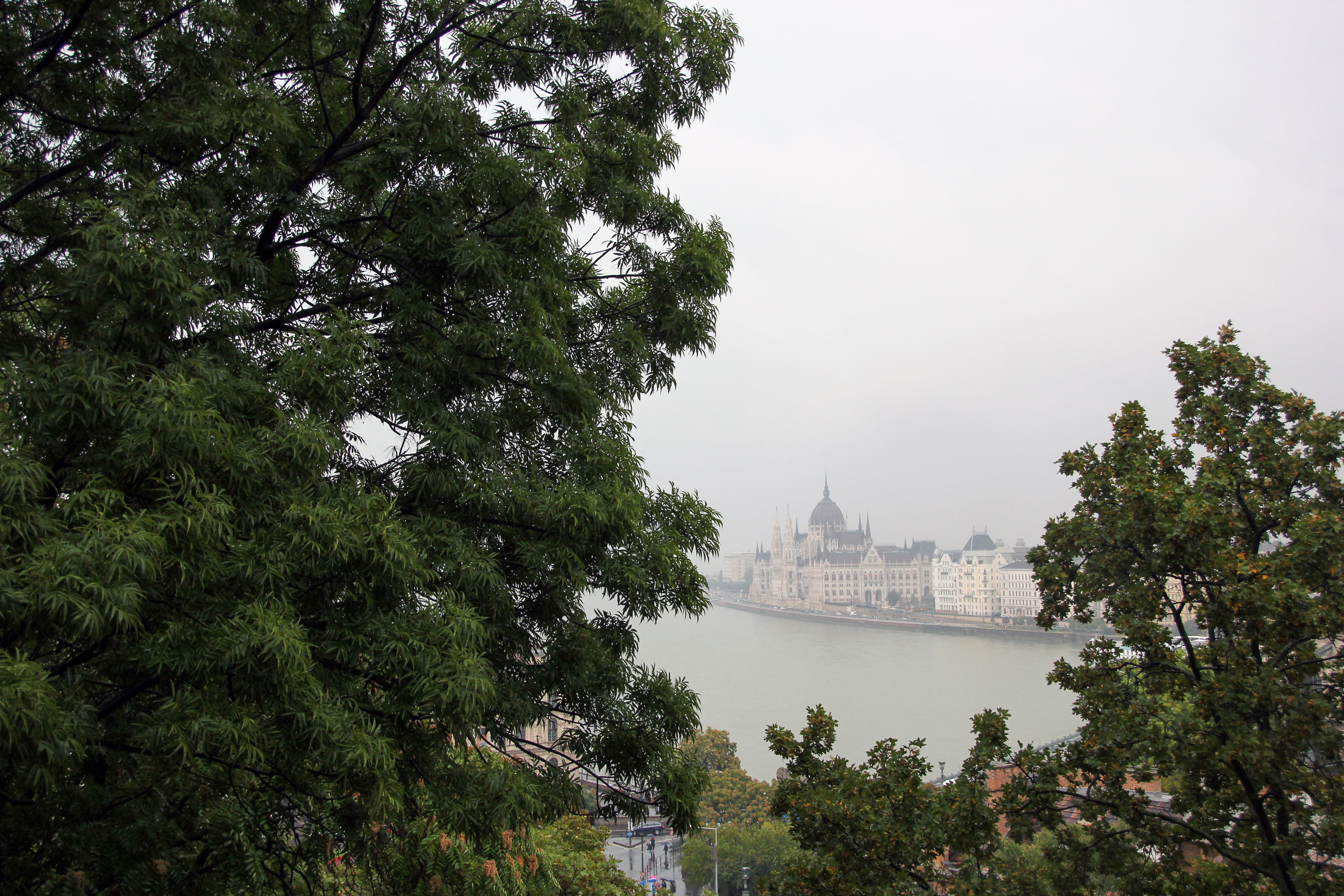 travel destinations, national, day, old, government, river, parliament, hungary, travel, house, tree, vacations, landmark, clouds, riverside, nature, sky, HD Wallpaper