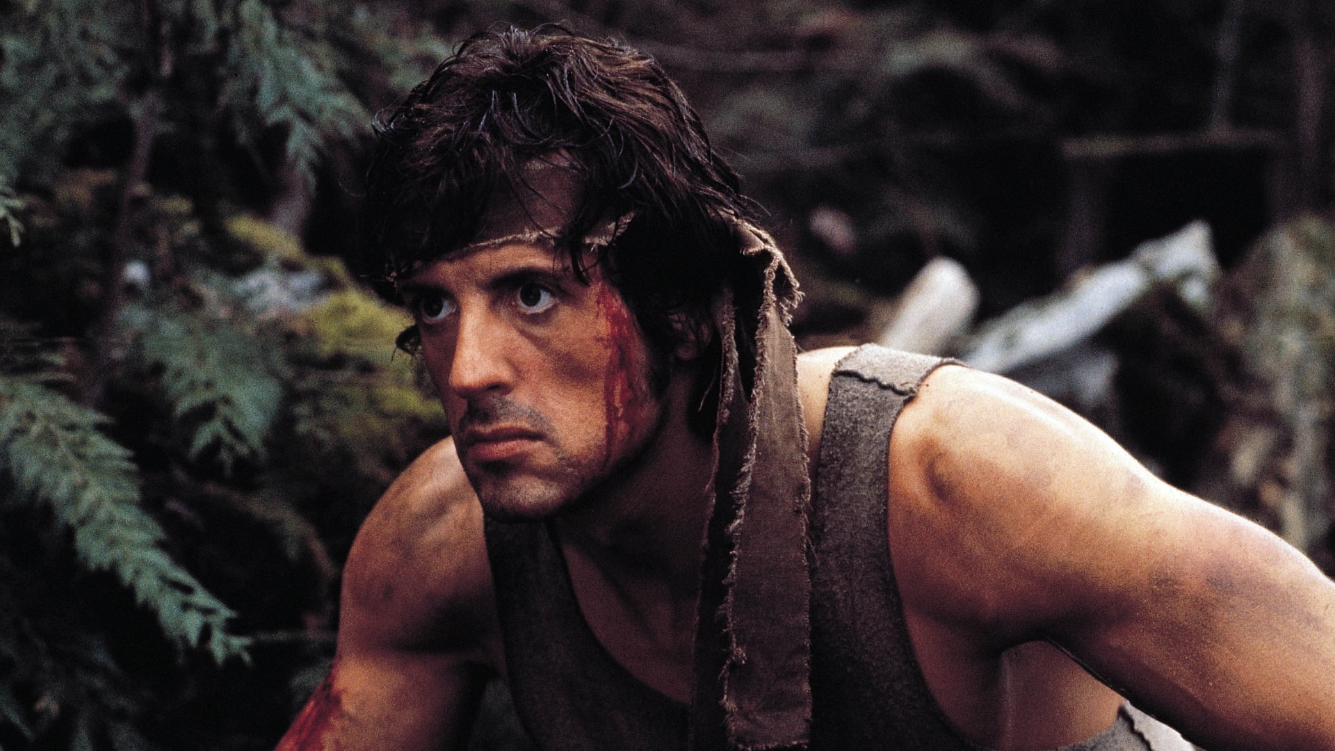 Movie, 1080P, Sylvester Stallone, First Blood, HD Wallpaper