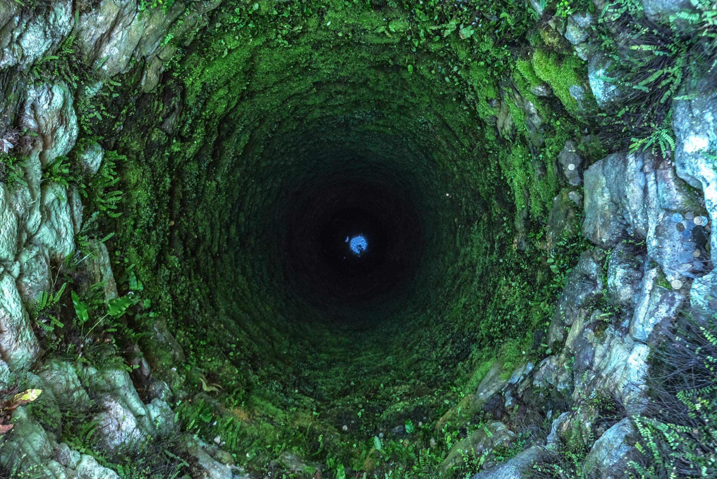moss, the well, stones, 1080P, plants, HD Wallpaper