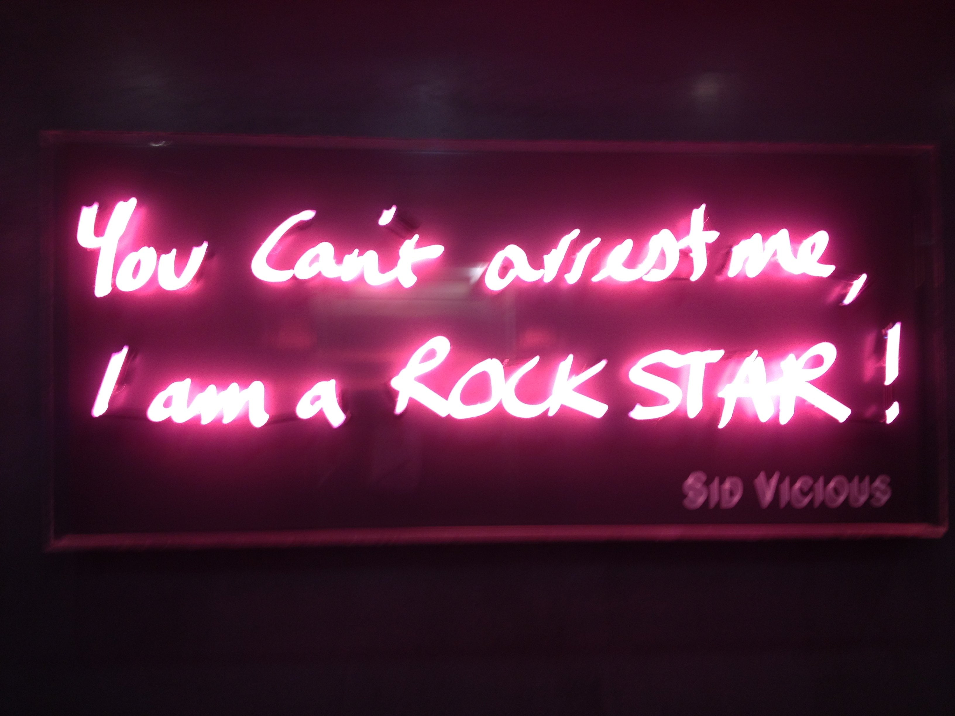 Typography, punk, night, nightlife, sid, pink color, illuminated, temptation, hard, Vicious, text, 2K, neon, architecture, Roll, commercial sign, close-up, HD Wallpaper