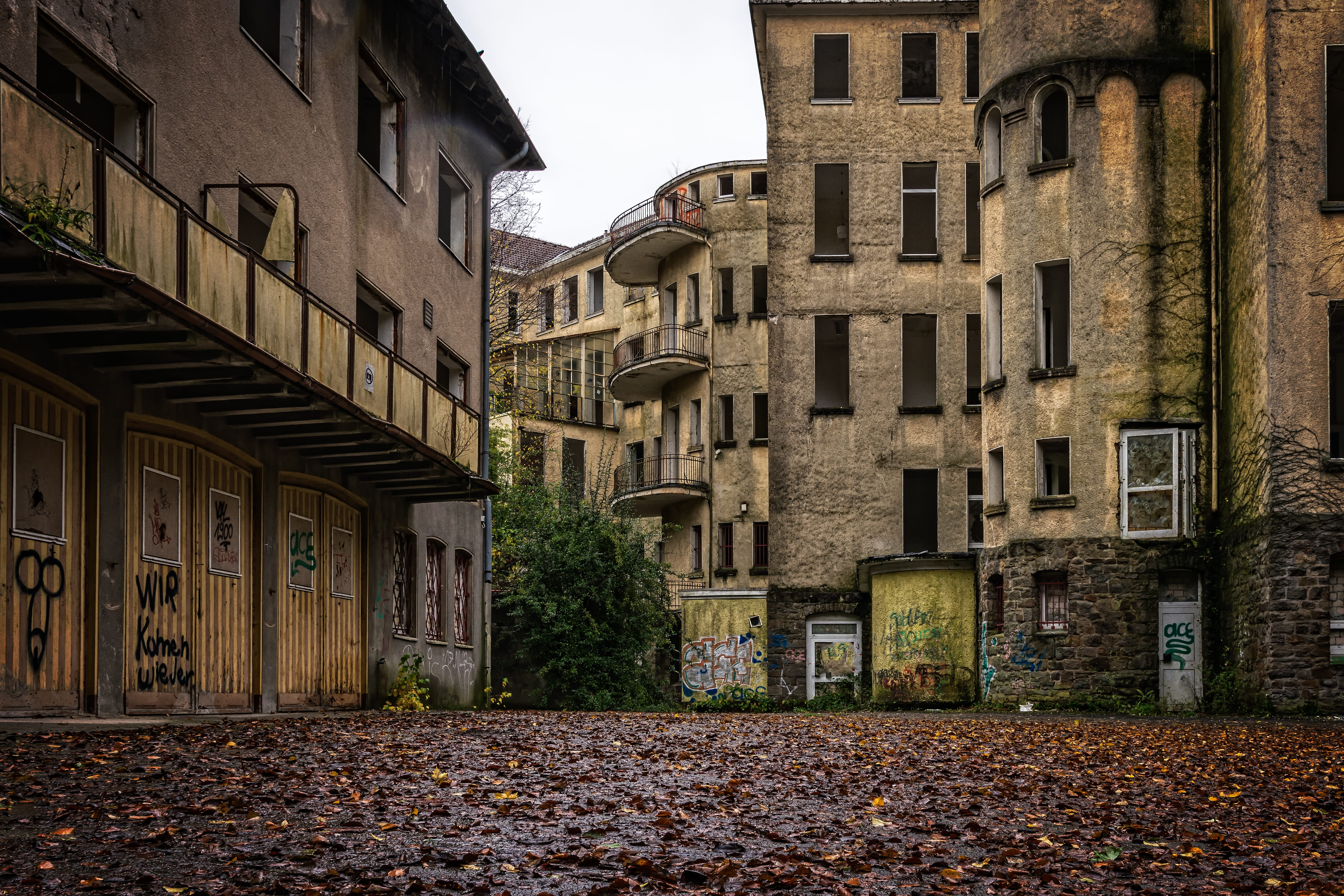 old, day, wild, run down, nature, building, building exterior, autumn, gloomy, plant, change, lost places, gray, plant part, built structure, empty, architecture, HD Wallpaper