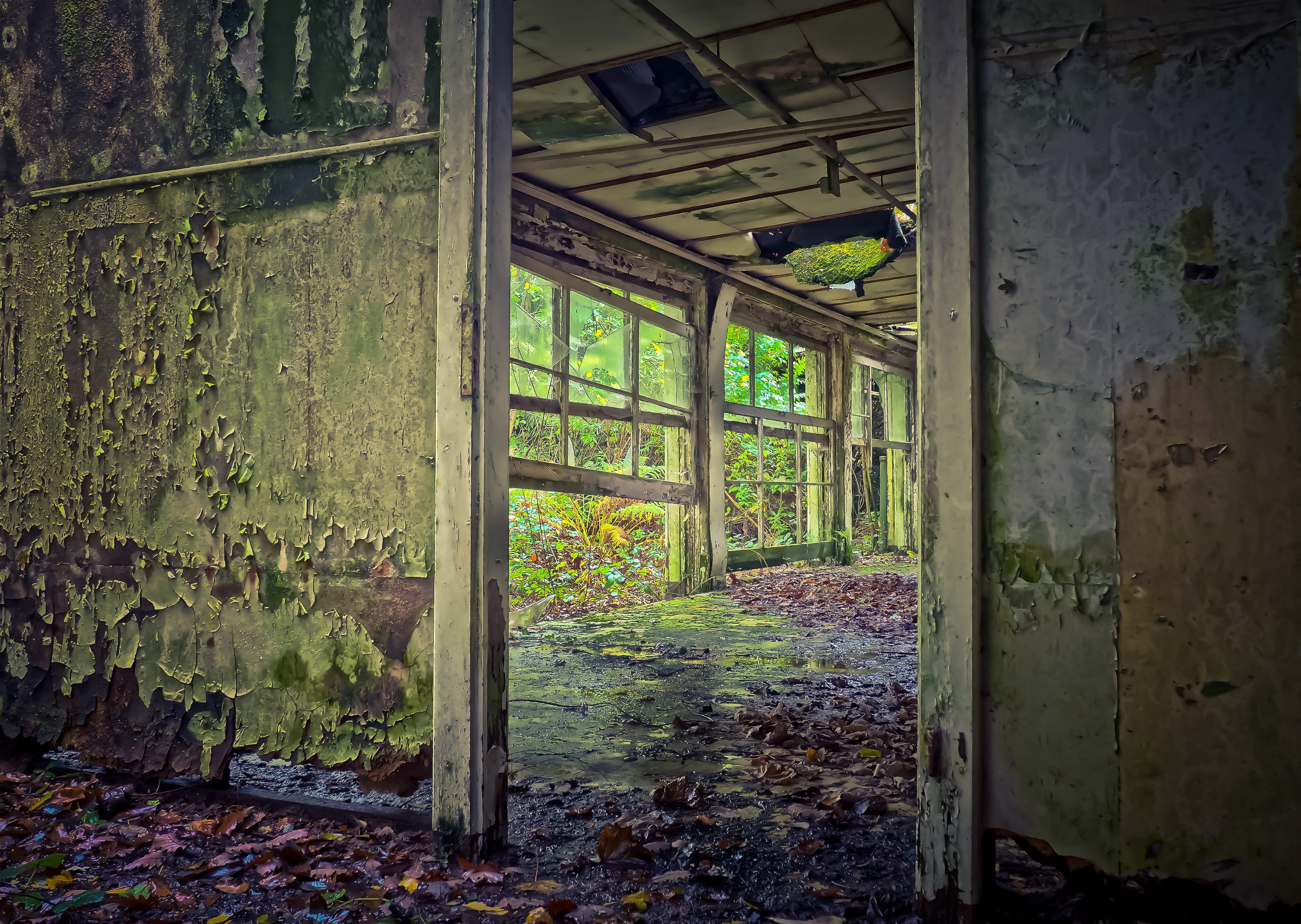forget, broken, mood, architecture, darkness, ruined, damaged, home, run-down, deterioration, horror, nature, 4K, mystical, leave, decline, lost places, HD Wallpaper