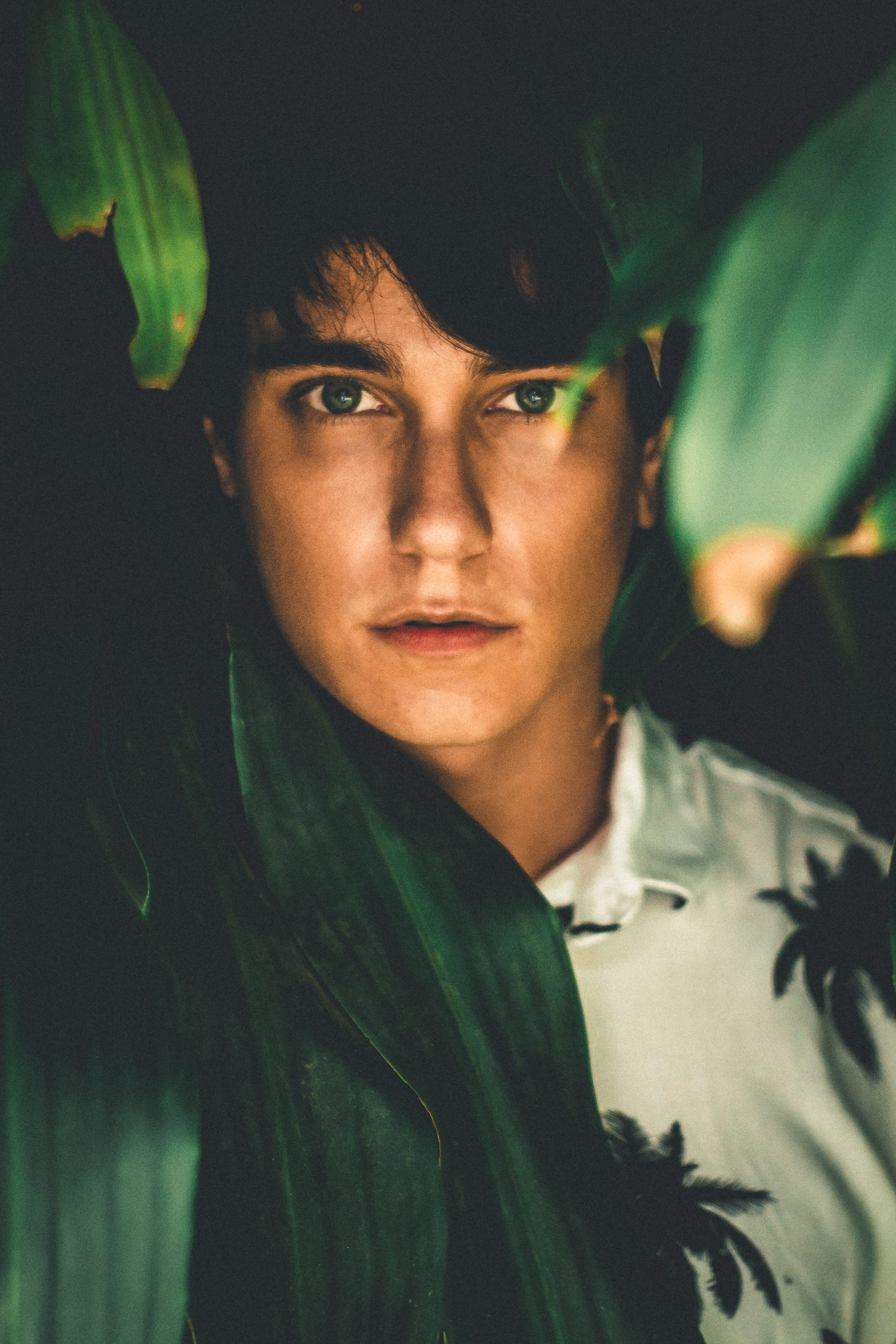 good-looking, handsome, green color, headshot, plant part, male, plant, young men, surround, dark, white, leaves, close-up, one person, collared, fashionable, Phone HD Wallpaper