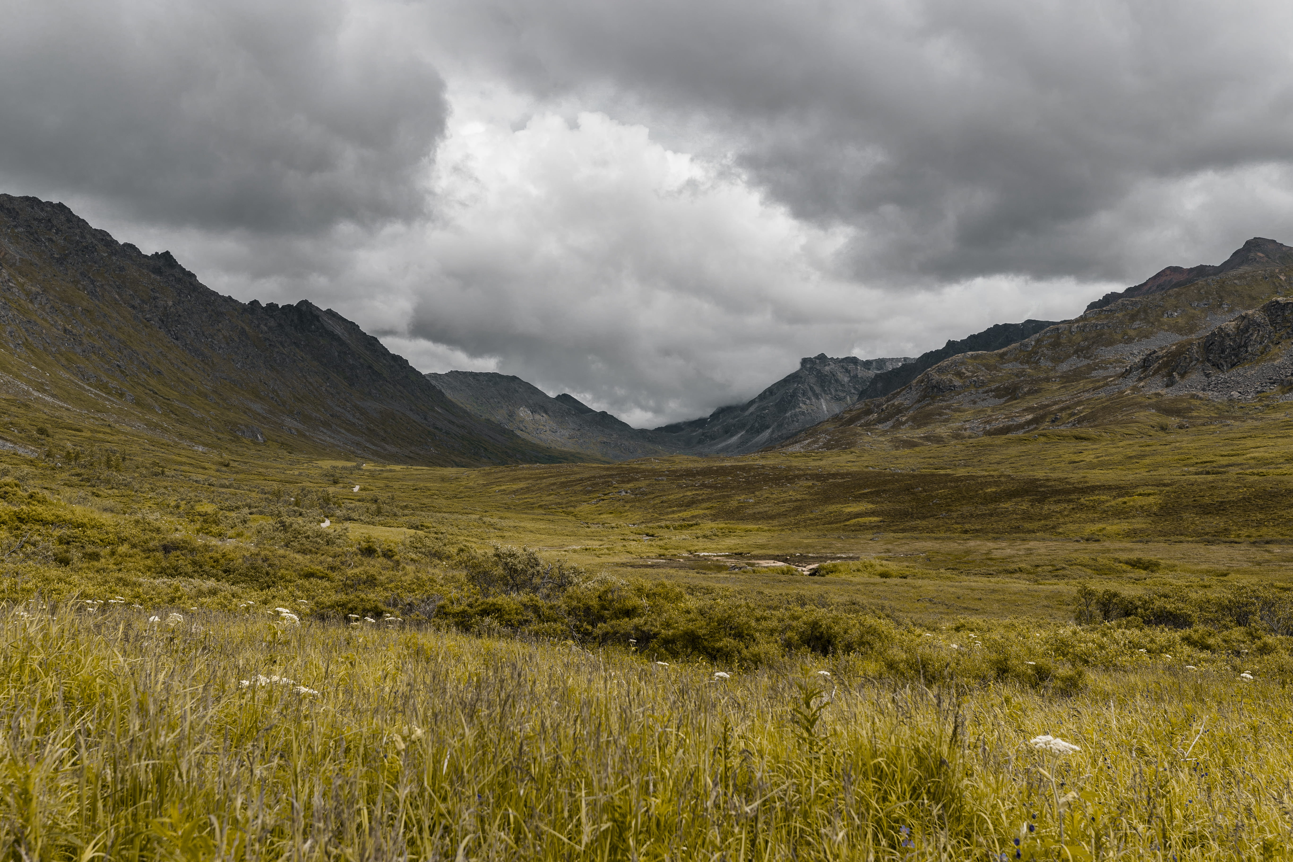 plant, overcast, grass, dark, environment, outdoors, lockscreen, cloudy, plateau, tranquil scene, storm, tundra, insane, clouds, countryside, day, landscape, HD Wallpaper