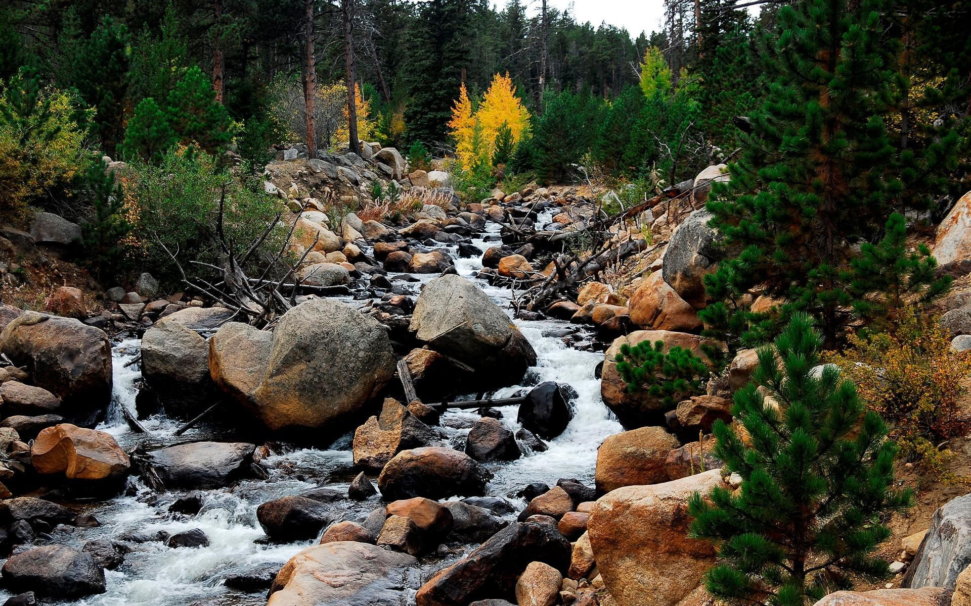 image, trees, rivers, 1080P, river, nature, small, forests, stone, 3d and abstract, HD Wallpaper