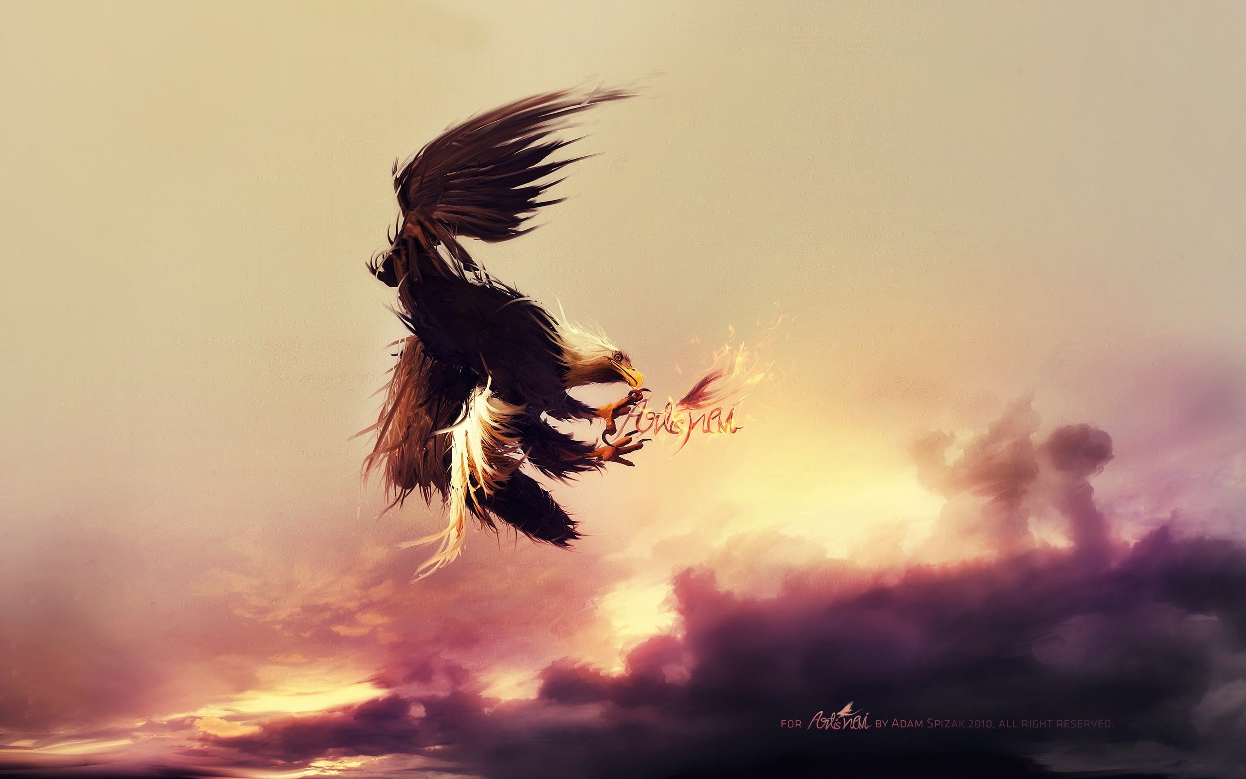 eagle, bird, drawing, 2K, digital/artwork, bald, hd, HD Wallpaper
