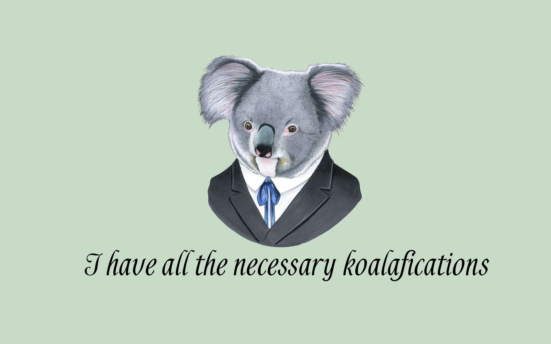 digital art, minimalism, suits, simple background, quote, 1080P, text, humor, koalas, animals, HD Wallpaper