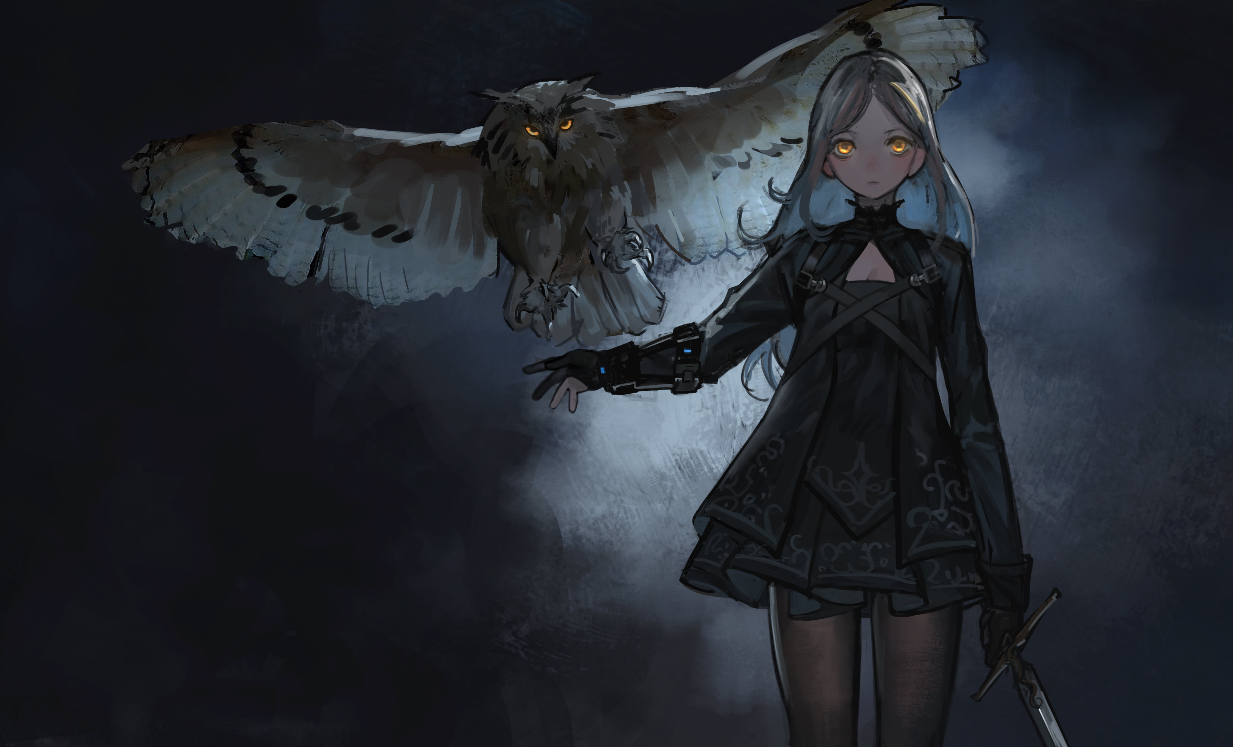 sword, 4K, tights, black suit, long hair, blonde, anime, owl, yellow eyes, anime girls, HD Wallpaper