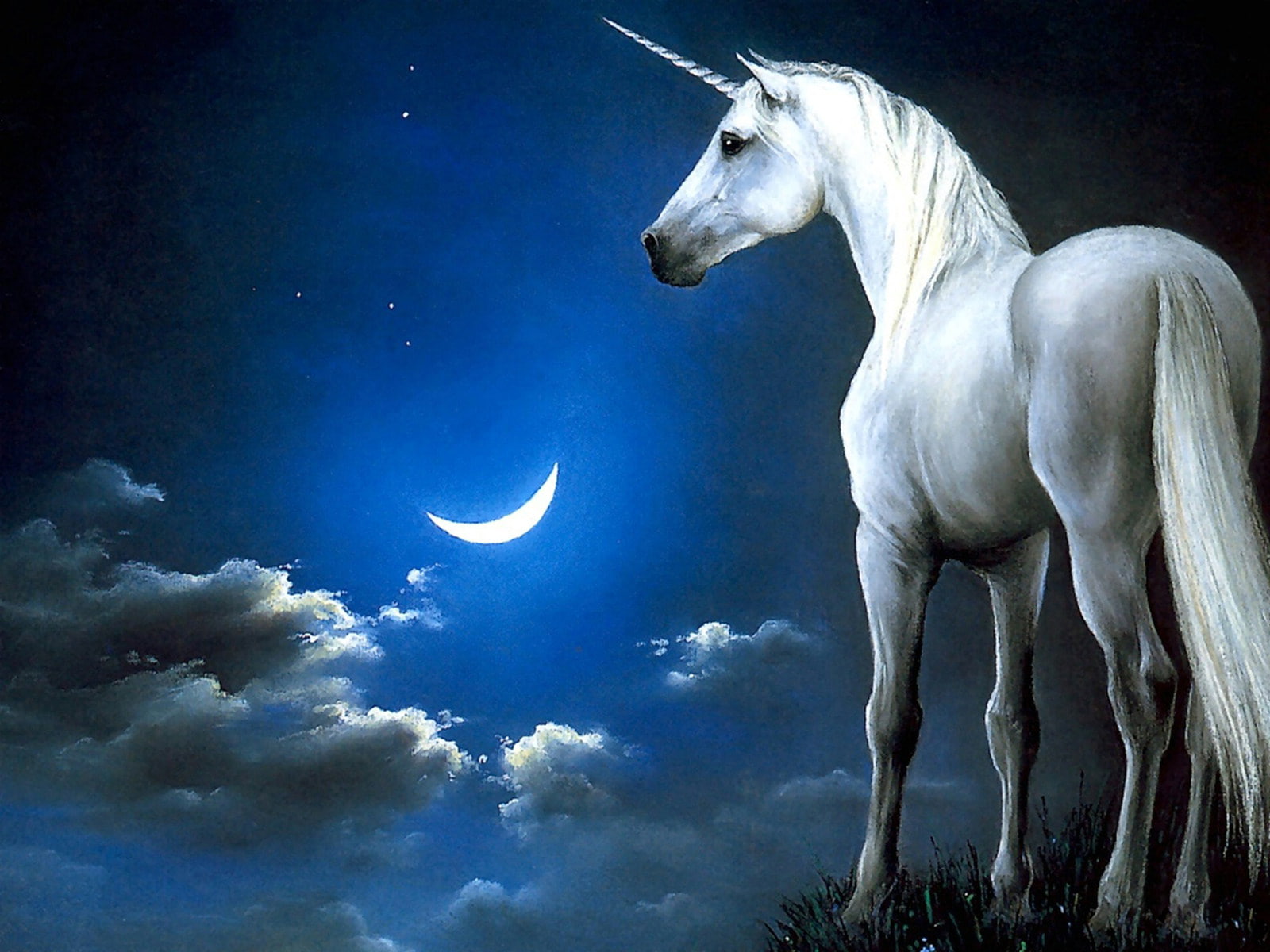 animal, moon, horse, magical, 720P, unicorn, HD Wallpaper