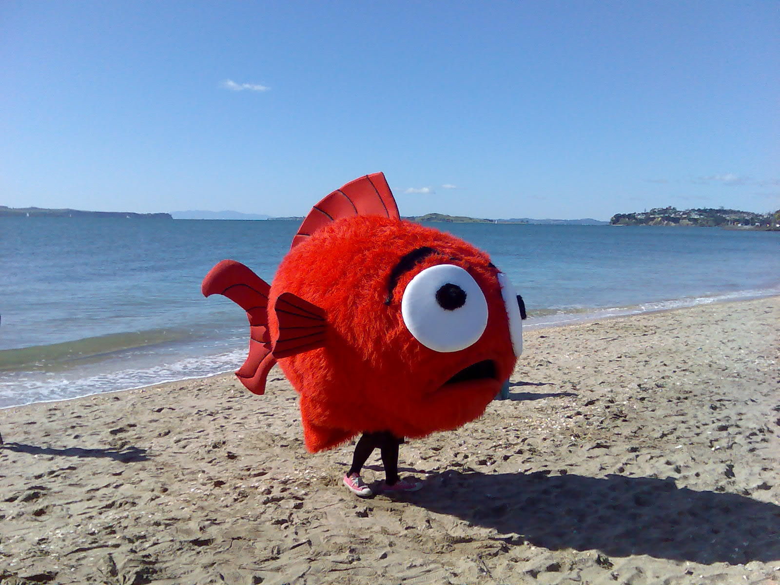 art, animals, fish, wtf, x, beach, 720P, hd, HD Wallpaper