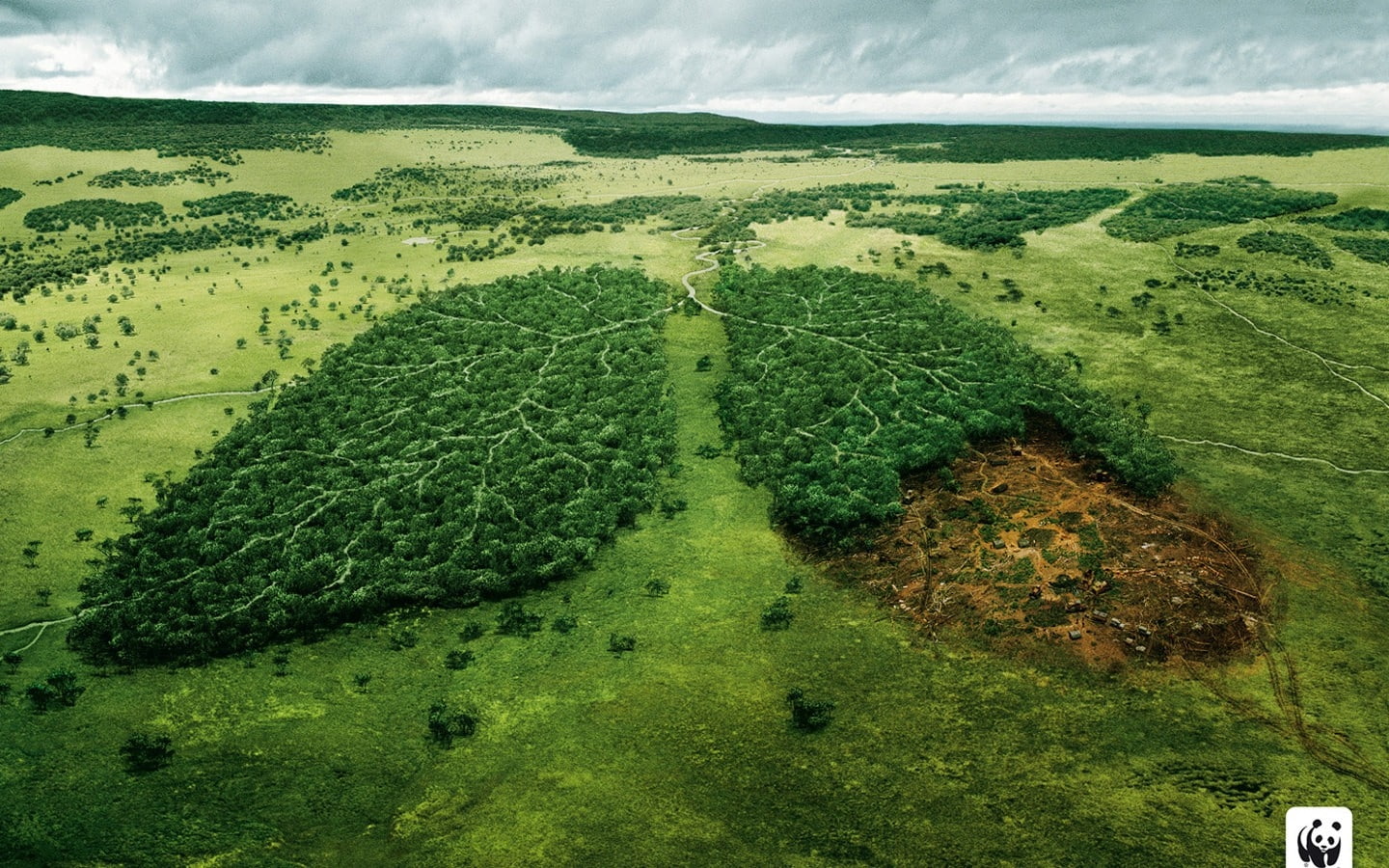 720P, Landscapes, art, truth, lungs, photomanipulation, x, wtf, hd, Trees, nature, HD Wallpaper
