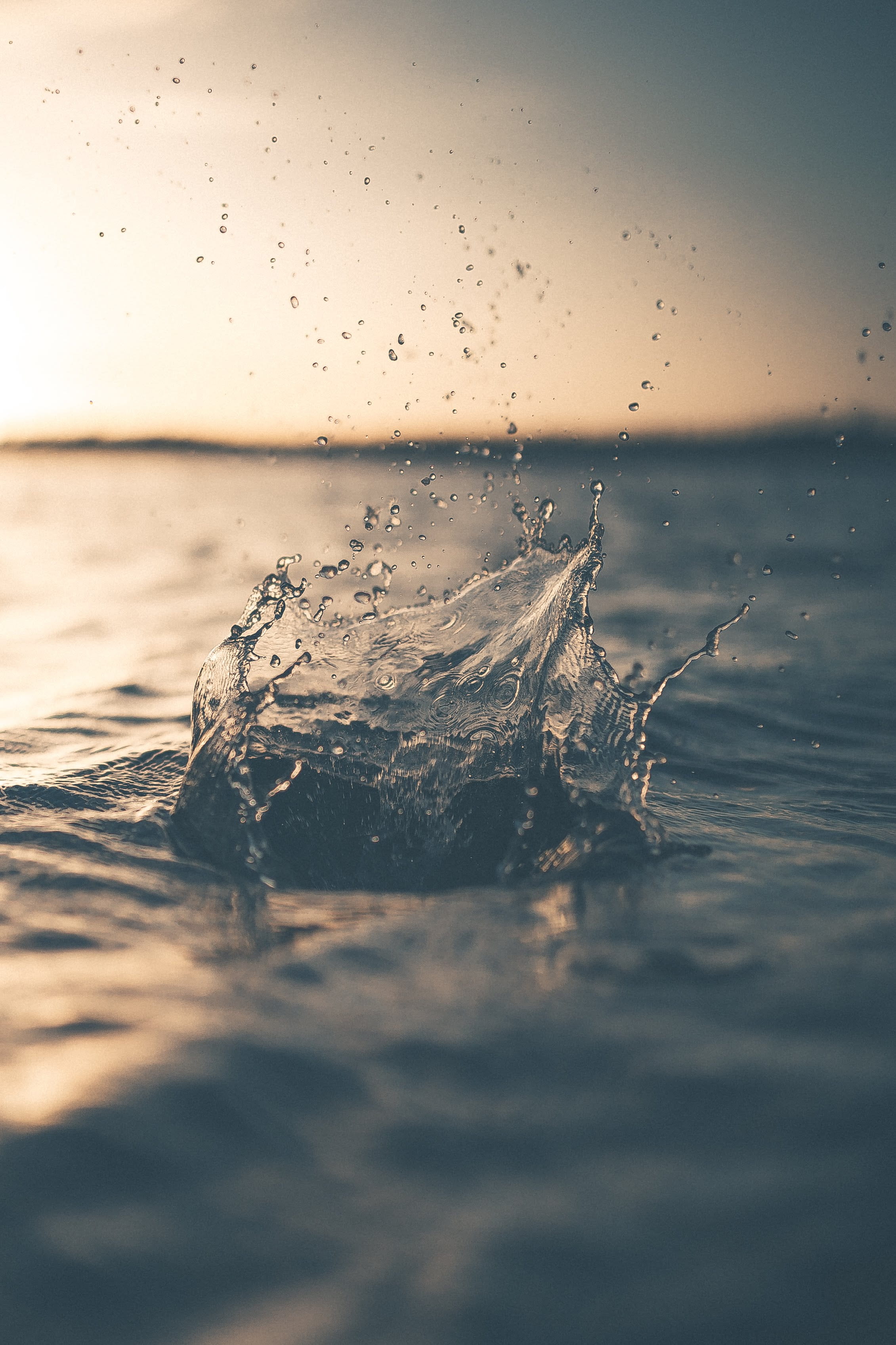 focus, droplet, ocean, photo, outdoors, selective focus, sea, no people, wave, scenics - nature, orange color, water, splashing, field, selective, shallow, Phone HD Wallpaper