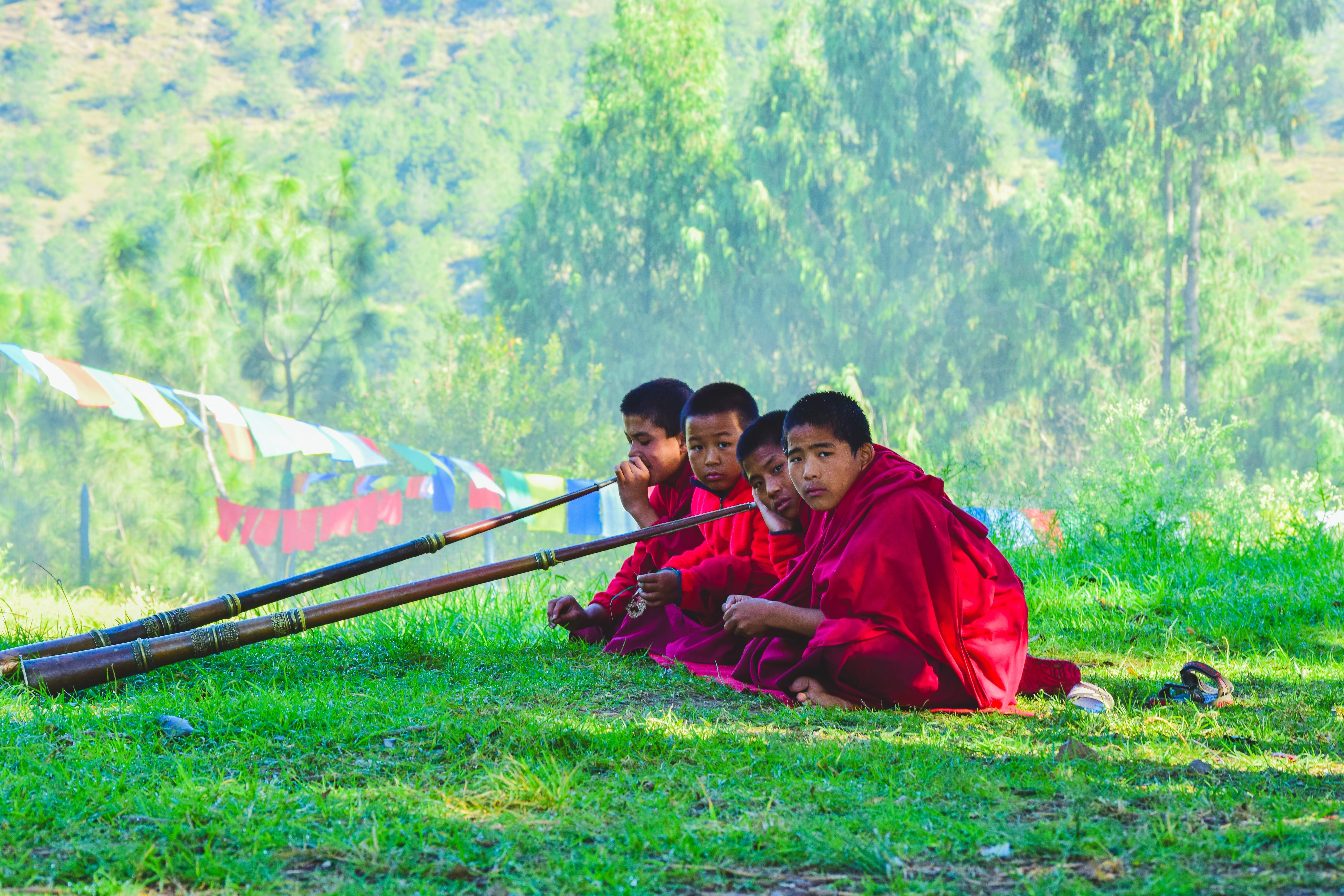 young, pray, face, boy, nature, 5K, young men, buddhist, buddhism, monk, green color, women, adult, blue, harmony, religious, young monk, growth, HD Wallpaper
