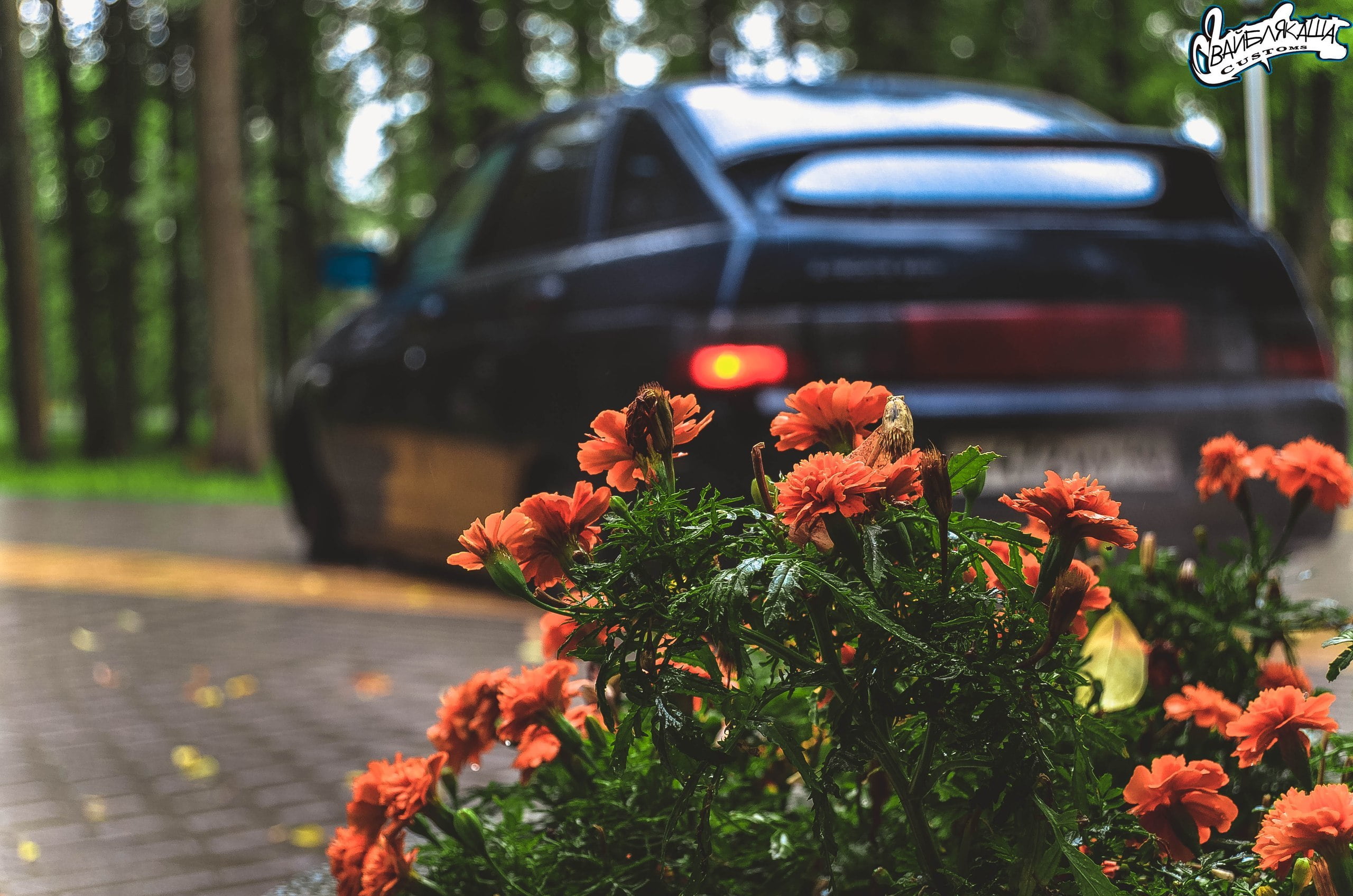 BPAN, road, red, machine, VAZ, 40rus, flowering plant, beauty in nature, transportation, flower, focus on foreground, land vehicle, mode of transportation, HD Wallpaper