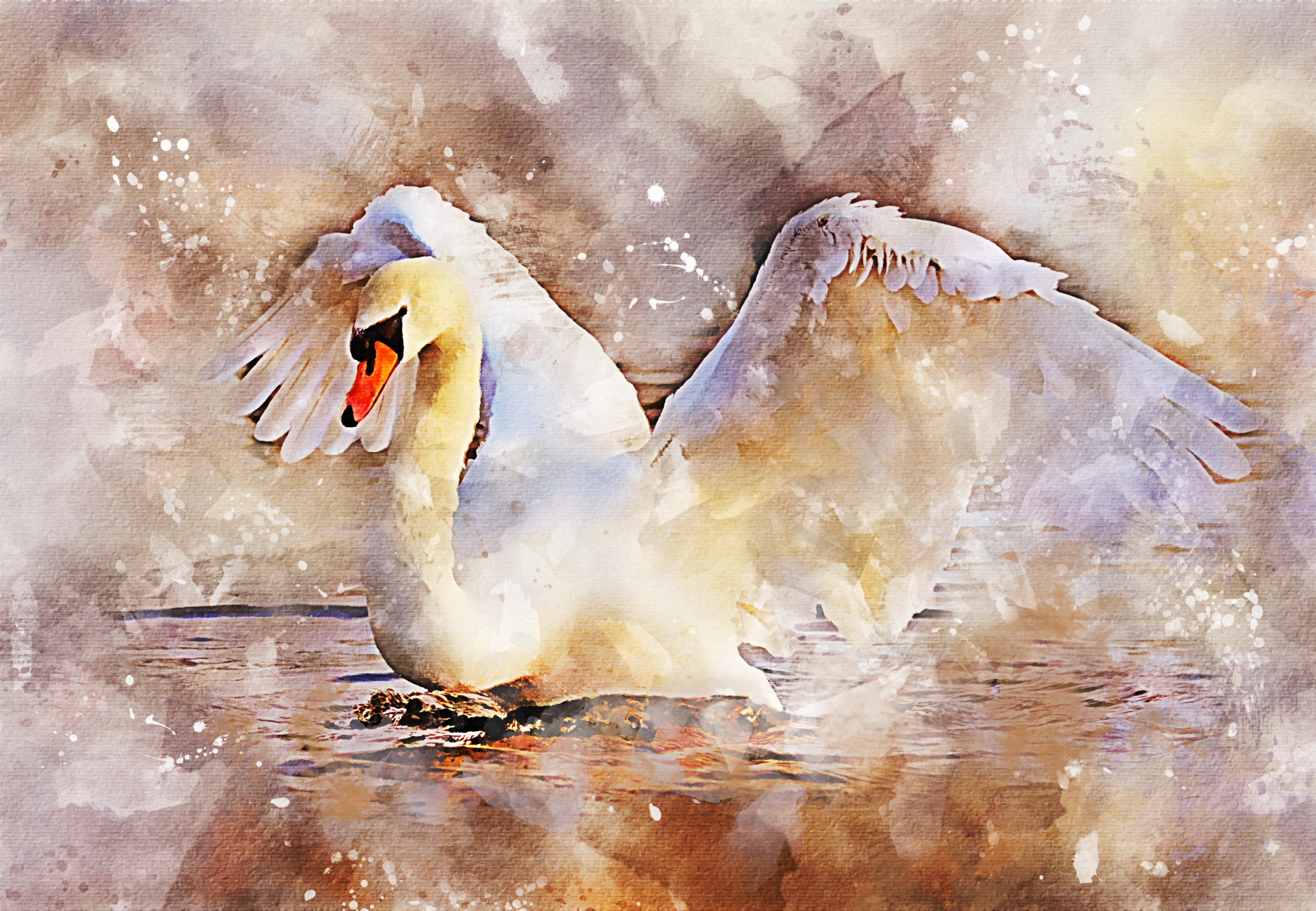 water, outdoors, bird, spray, grace, vertebrate, fantasy, reflection, women, wings, one person, 4K, watercolor, digital composite, frozen, ice, animals in the wild, HD Wallpaper