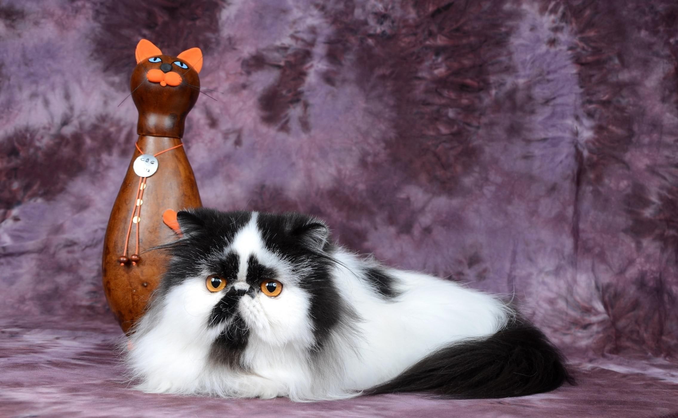 cat, persian cat, spotted, persian, 1080P, figurine, HD Wallpaper