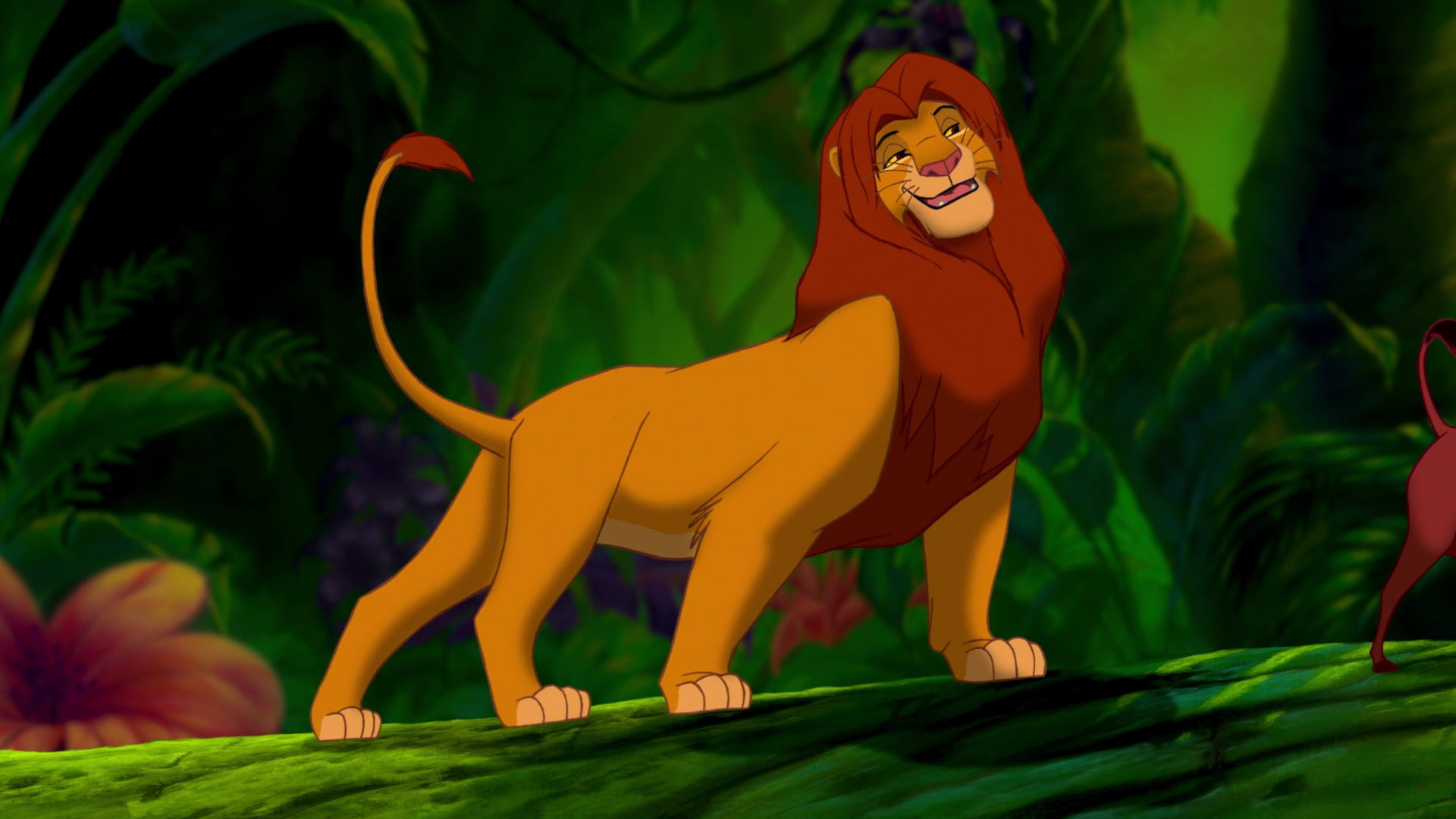 phones, hd, disney, simba, computer, 1080P, mobile, lion, king, HD Wallpaper