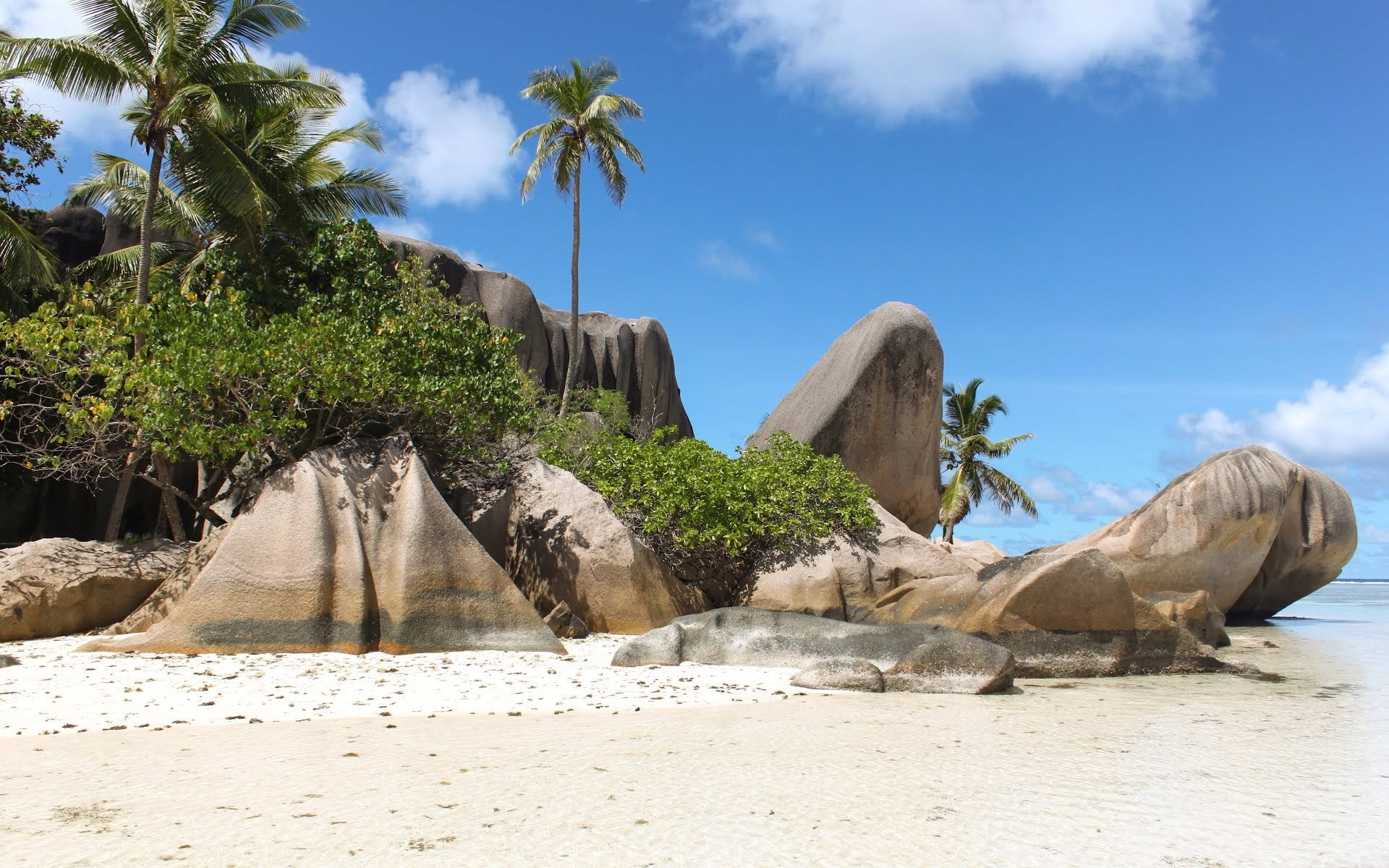 rock - object, nature, solid, no people, scenics - nature, formation, seychelles, 1080P, day, sky, plant, outdoors, sandy, growth, tropical climate, HD Wallpaper