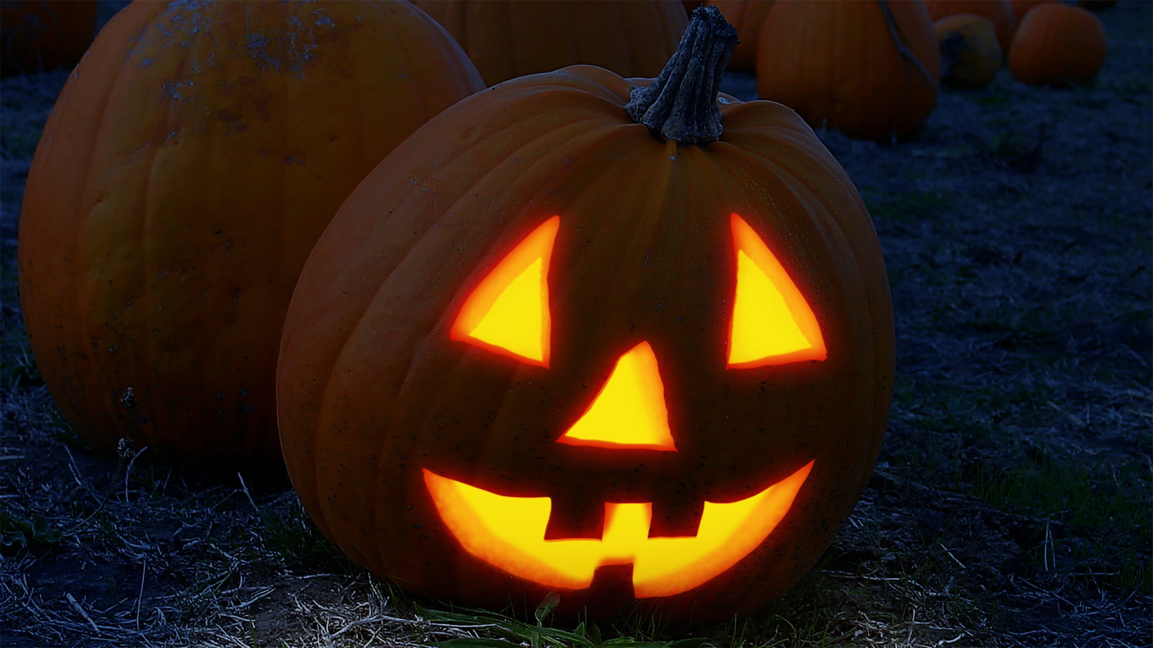 1080P, anthropomorphic, gloomy, halloweenkuerbis, decoration, craft, celebration, fash, pumpkin, october, food and drink, ritual, face, pumpkin face, outdoors, HD Wallpaper