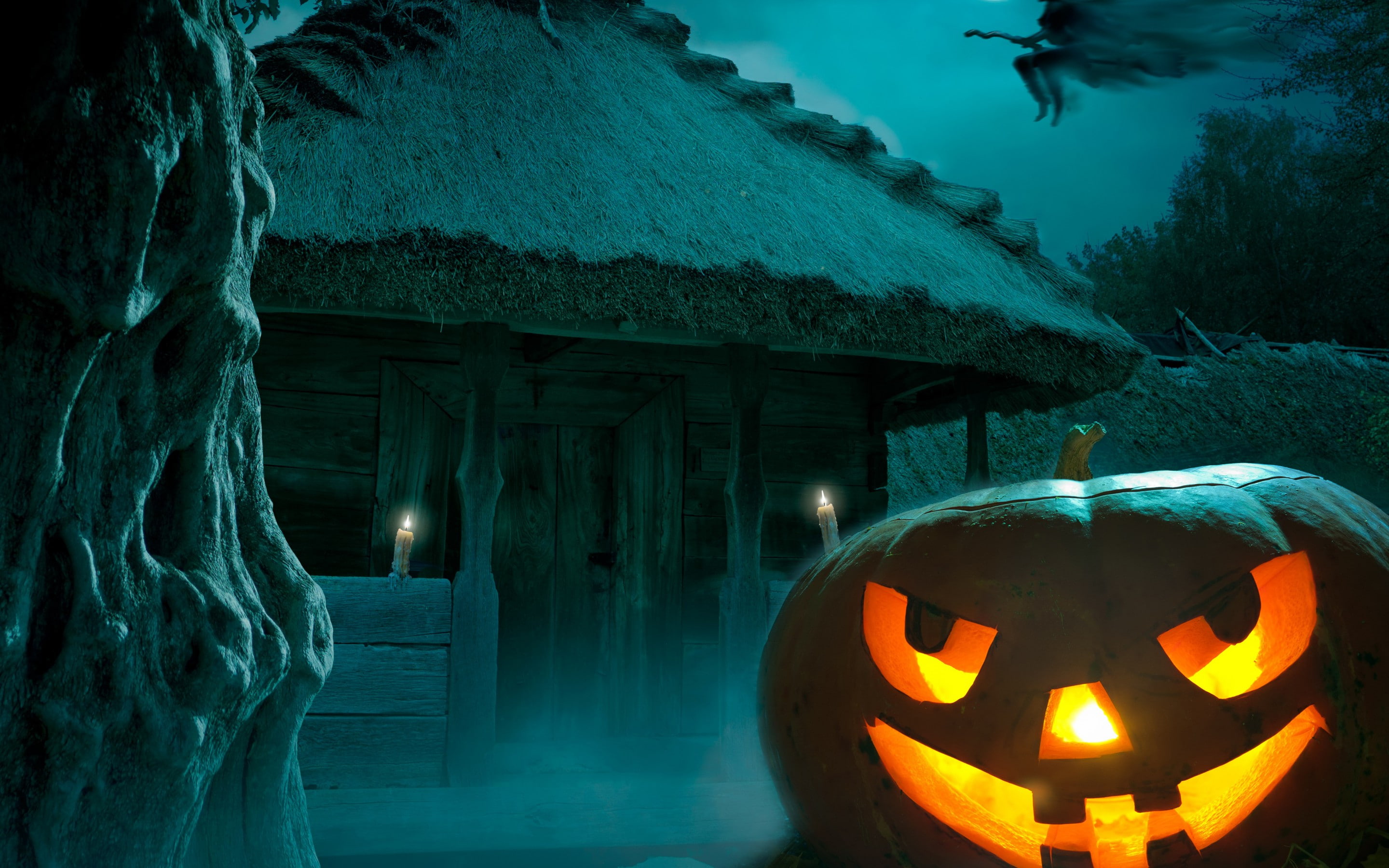 Night, candles, jack, 2K, Holiday, forest, o, lantern, Happy, pumpkin, Halloween, HD Wallpaper