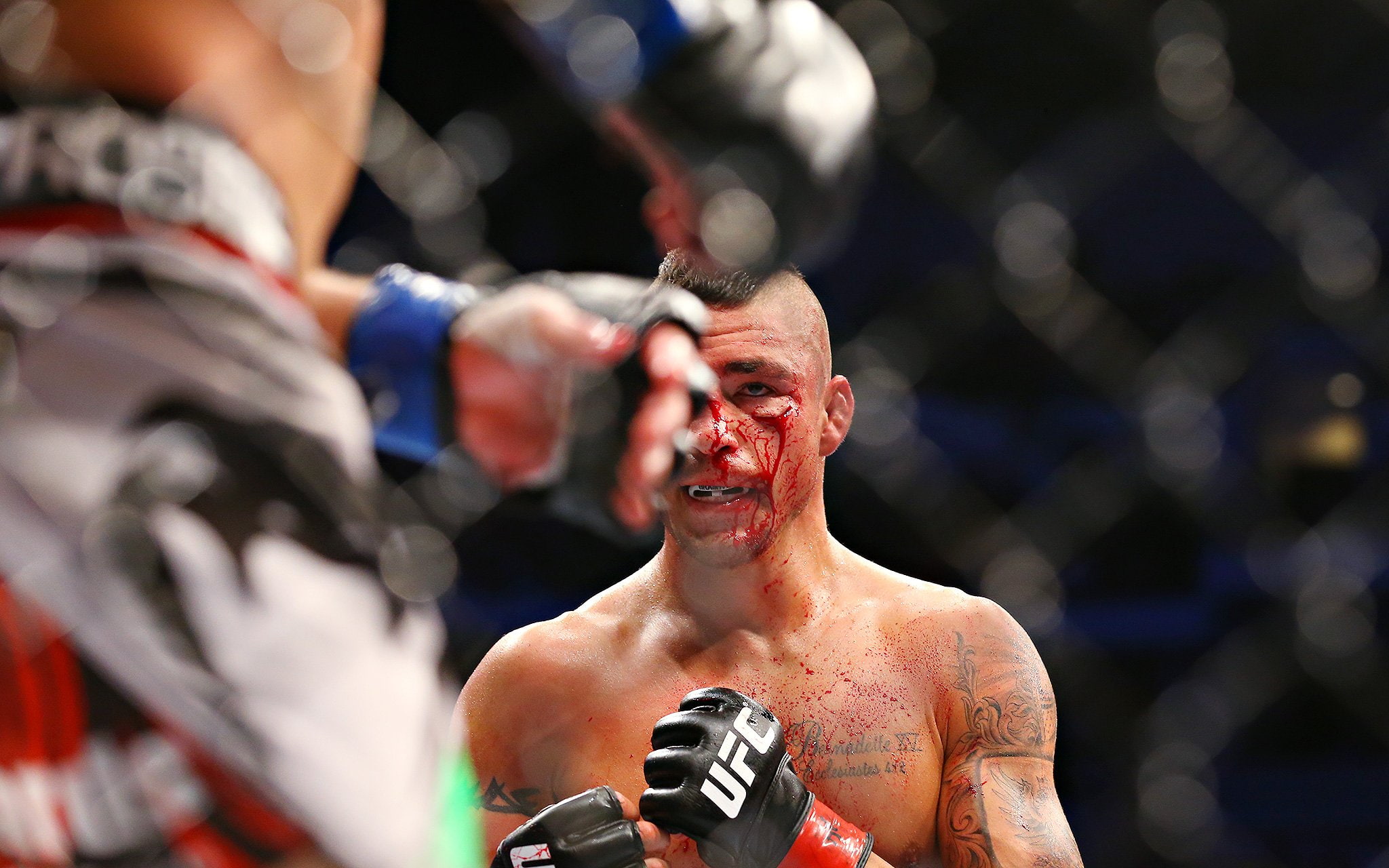 ufc, martial, arts, fighting, mixed, mma, 1080P, HD Wallpaper