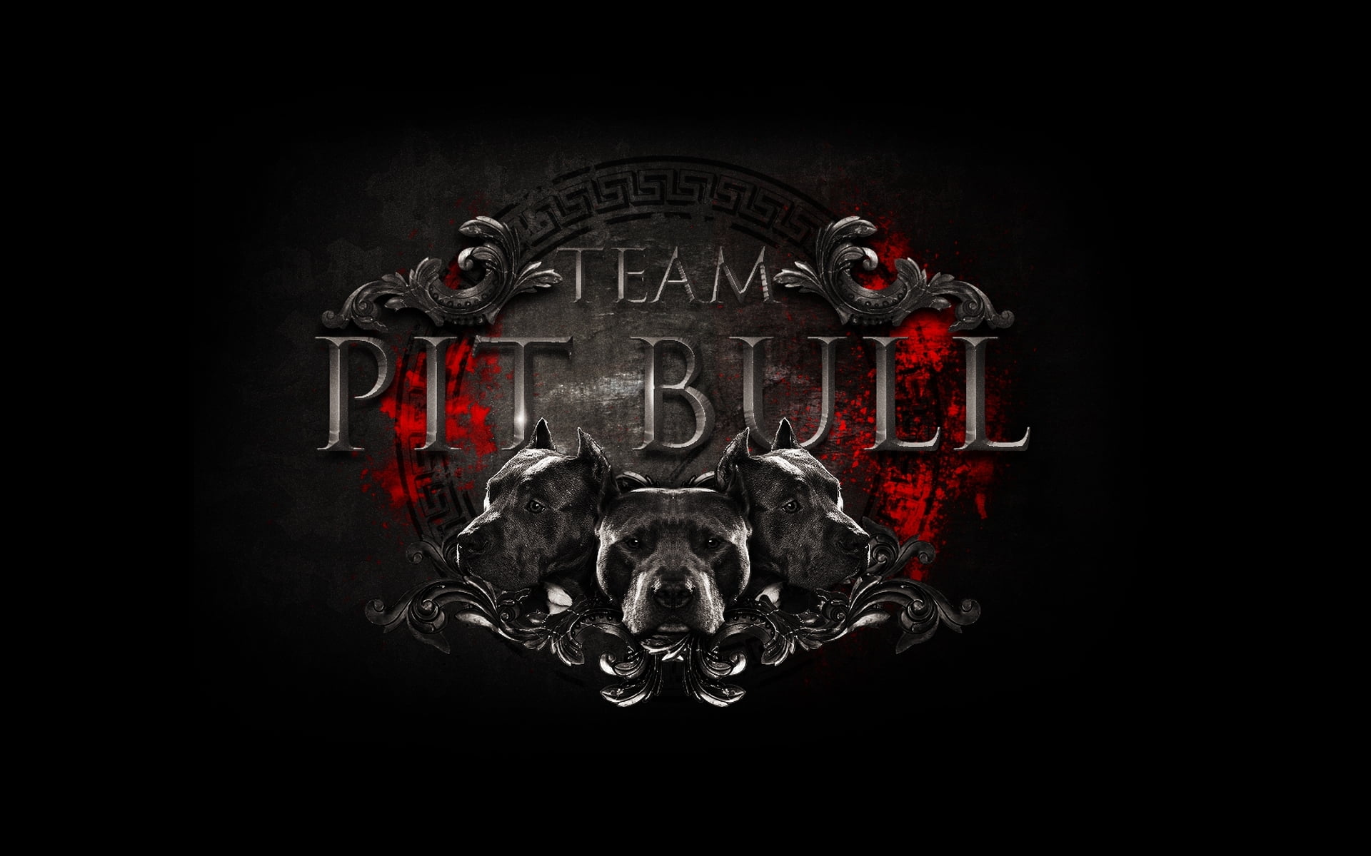 fight club, mixed martial arts, the past, retro Styled, backgrounds, pit, technology, ornate, close-up, evil, black Color, old, pit bulls, communication, HD Wallpaper
