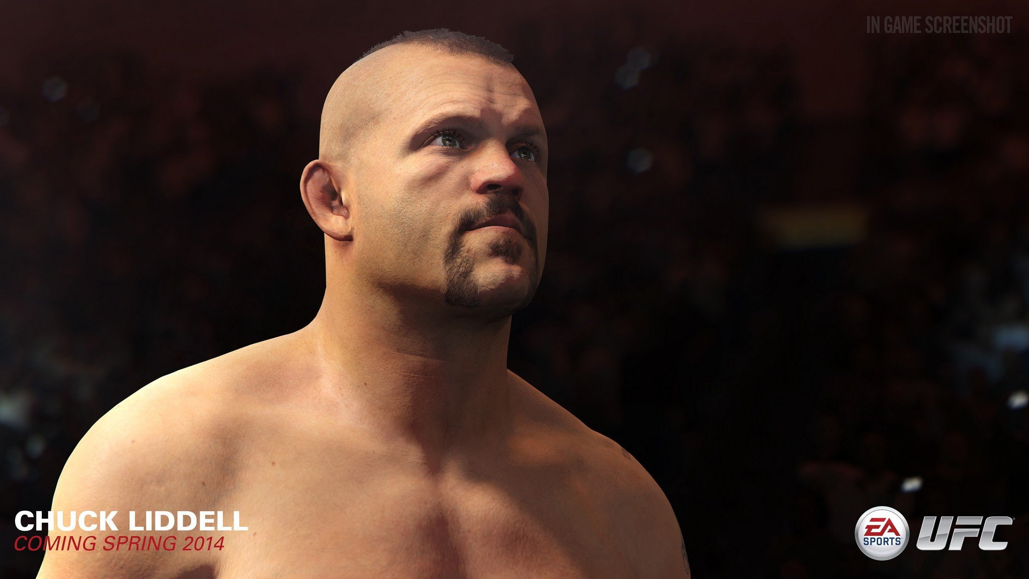 1080P, martial, arts, ufc, mixed, mma, fighting, HD Wallpaper