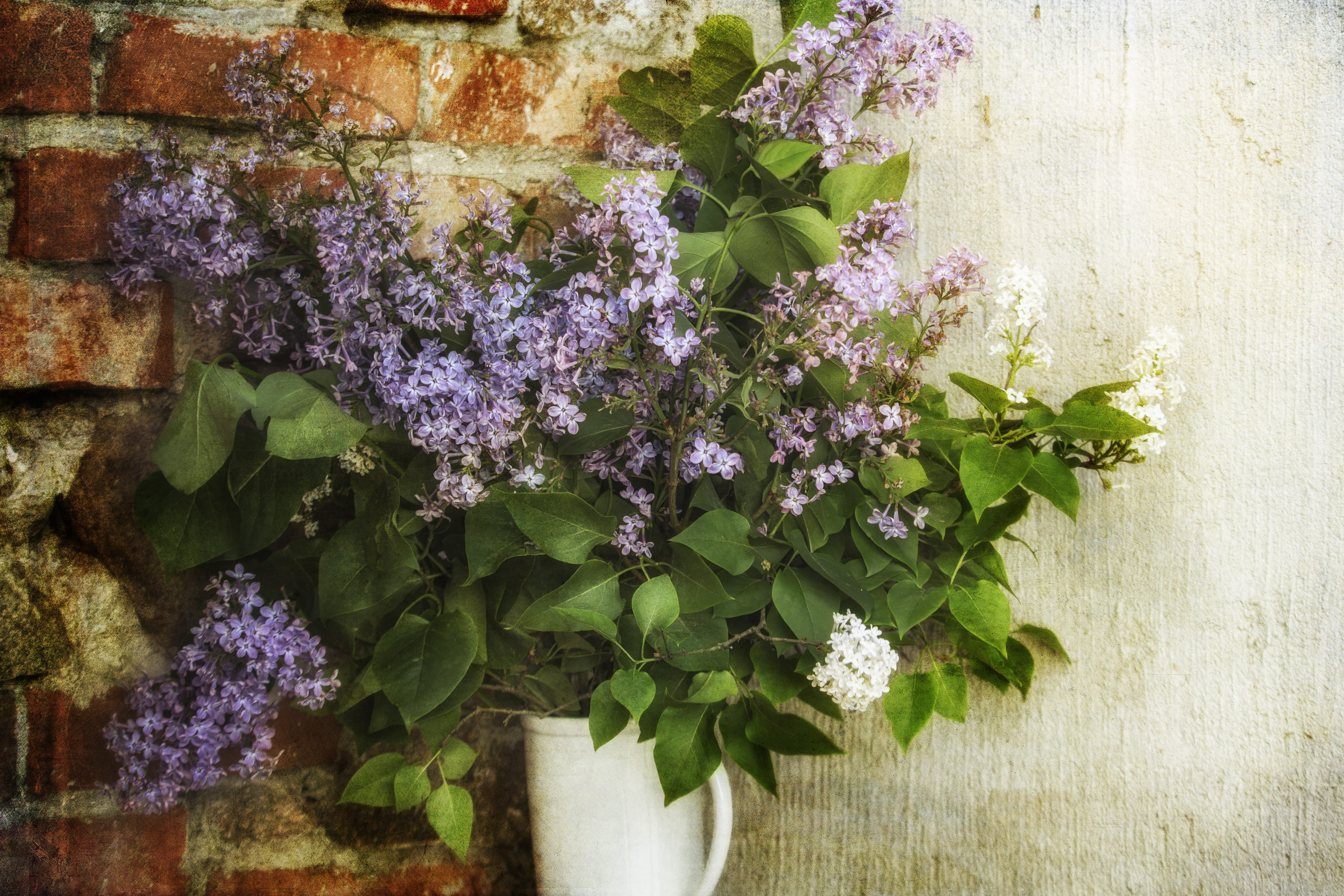 scented, day, pot, a bouquet of lilacs, built structure, lilac, flower, fragility, leaf, bouquet, beauty in nature, plant, plant part, spring, bunch of flowers, HD Wallpaper