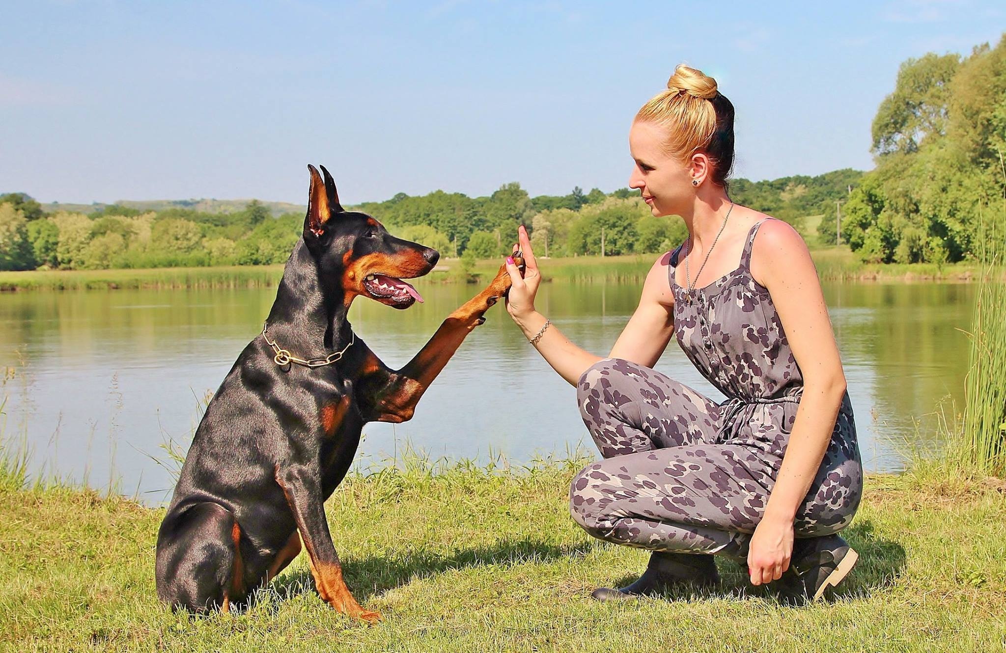 plant, animal, pacsi, friendship, day, adult, nature, one animal, domestic, romper, fiving, woman, near, pants, gray, vertebrate, one person, miniature Pinscher, HD Wallpaper