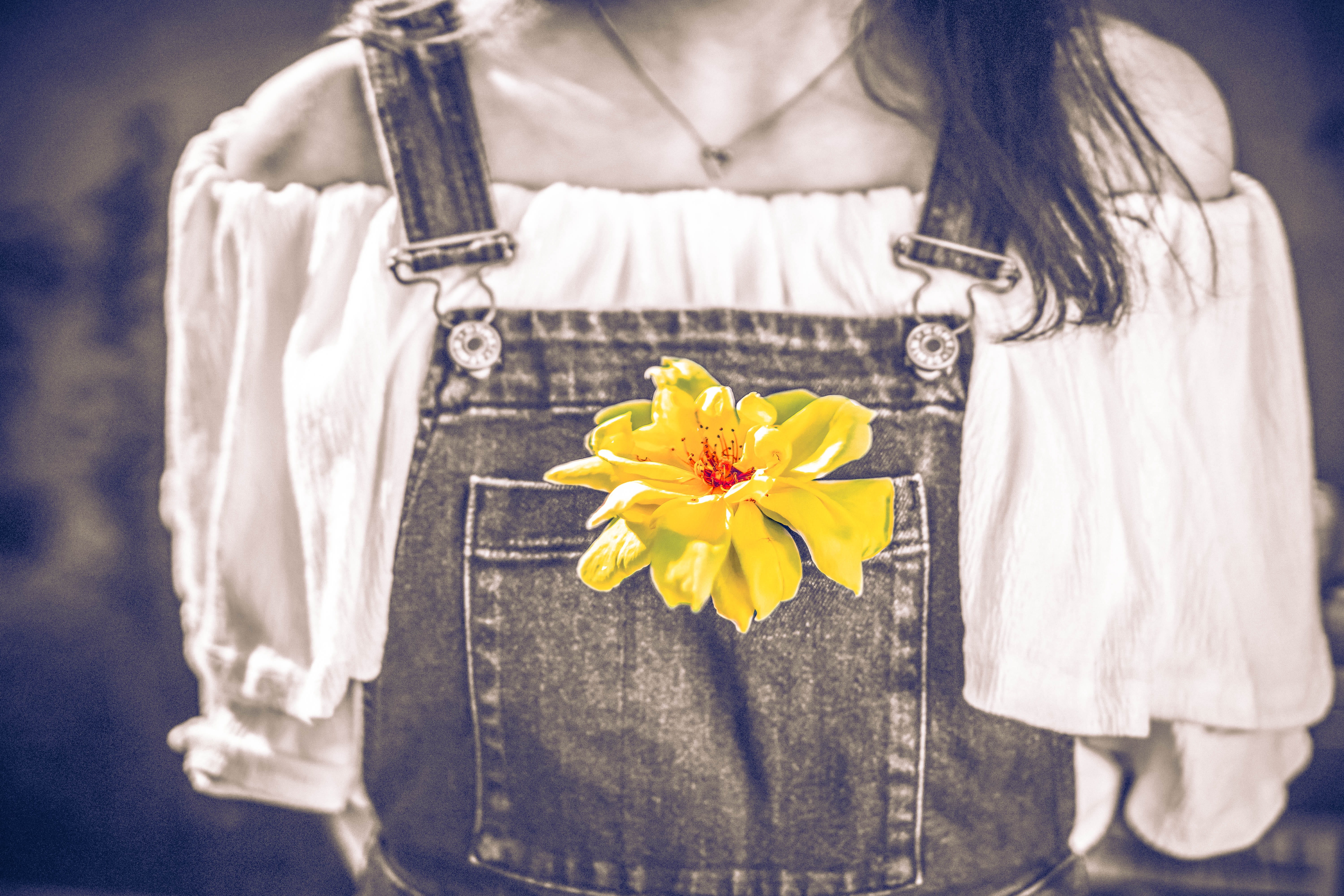 dress, petaled, clothing, s, photo, flowering plant, color pop, flower head, fragility, adult, country girl, freshness, faded denim, plant, one person, HD Wallpaper