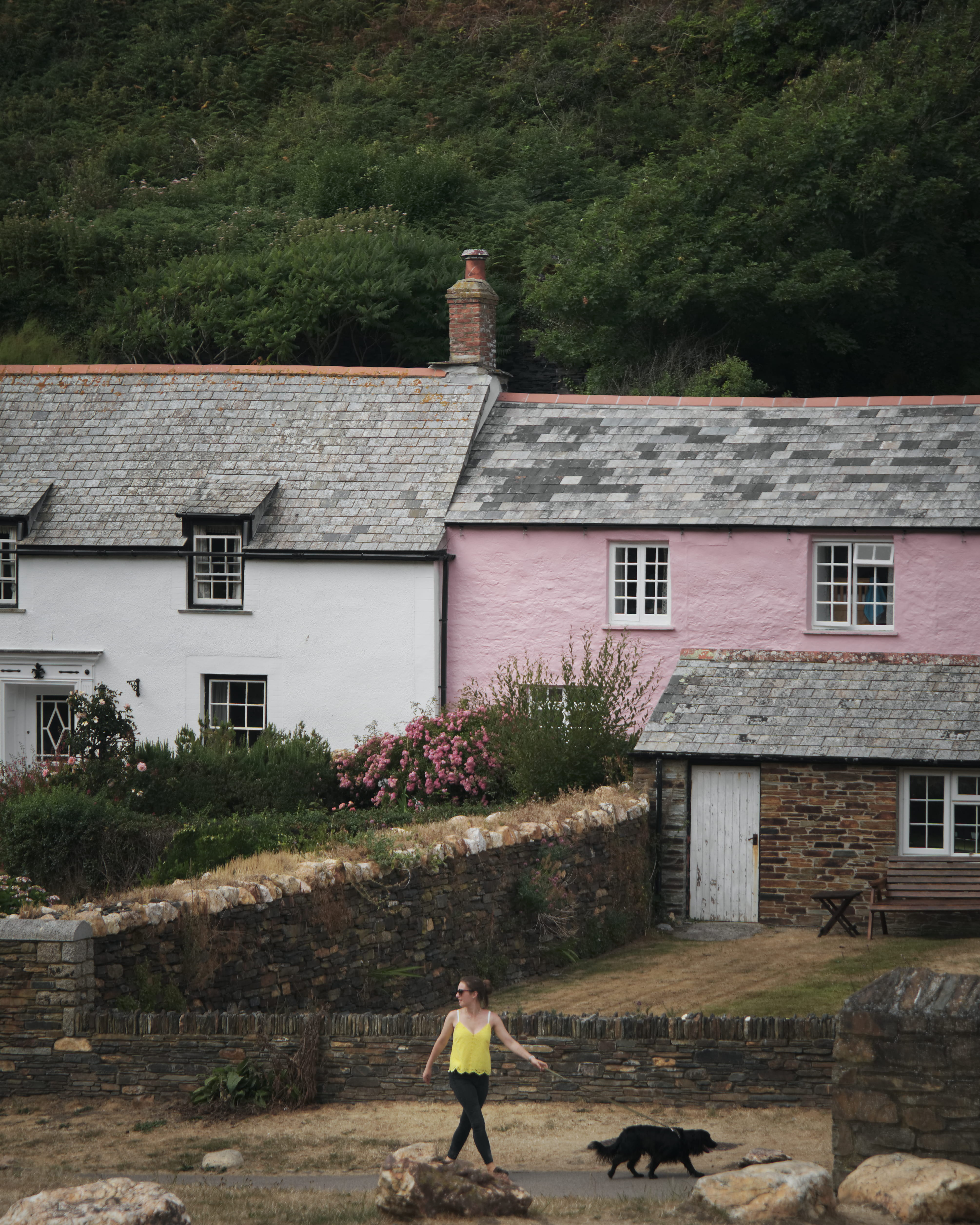 tree, houses, dog, full length, white, nature, one animal, plant, coast, one person, domestic, lifestyles, old, real people, boscastle, built structure, Phone HD Wallpaper