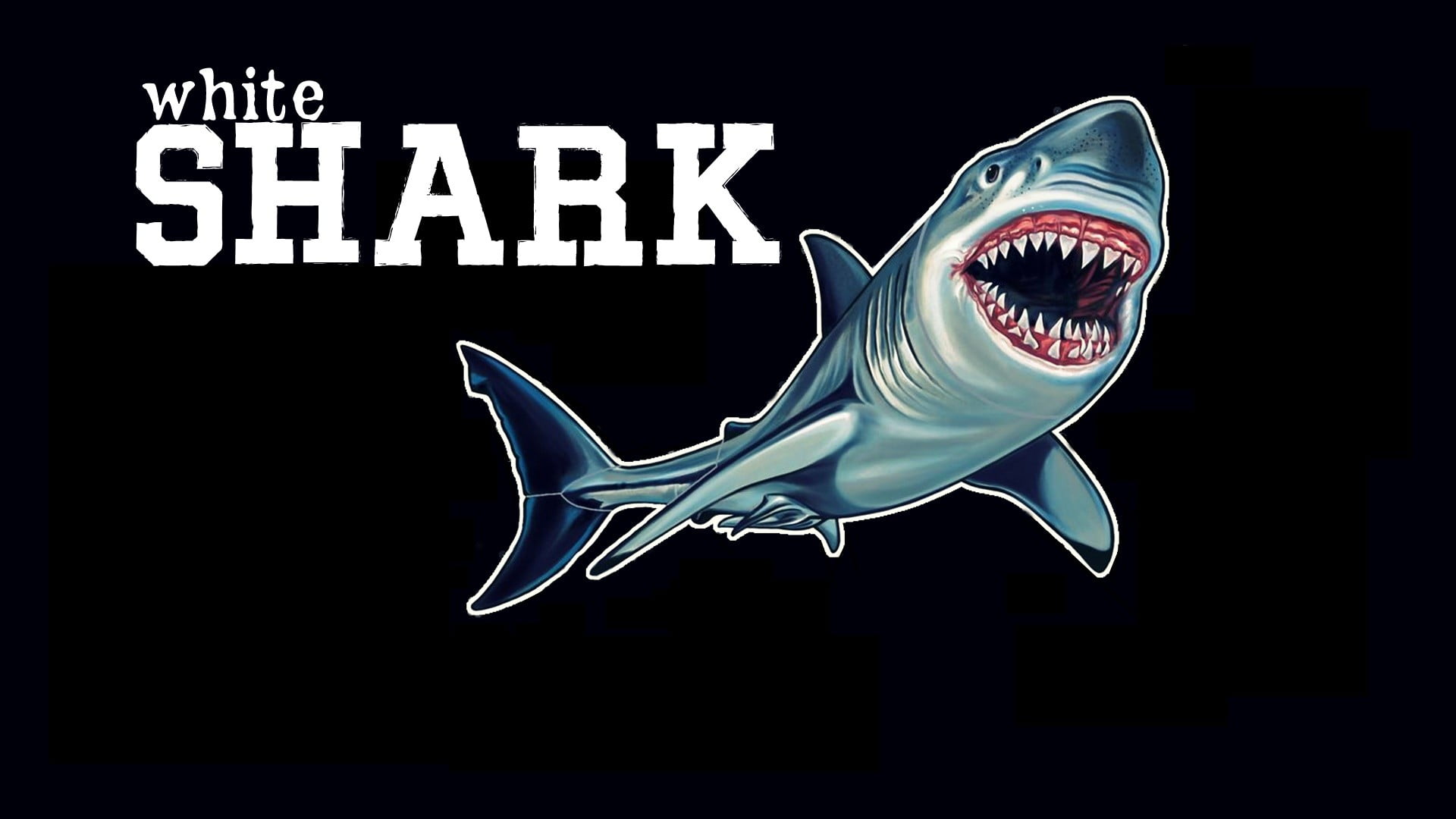 decor, domestic, animals, animal wildlife, black, fish, animal themes, communication, no people, animal, 1080P, star, emotion, copy space, shark, white, HD Wallpaper