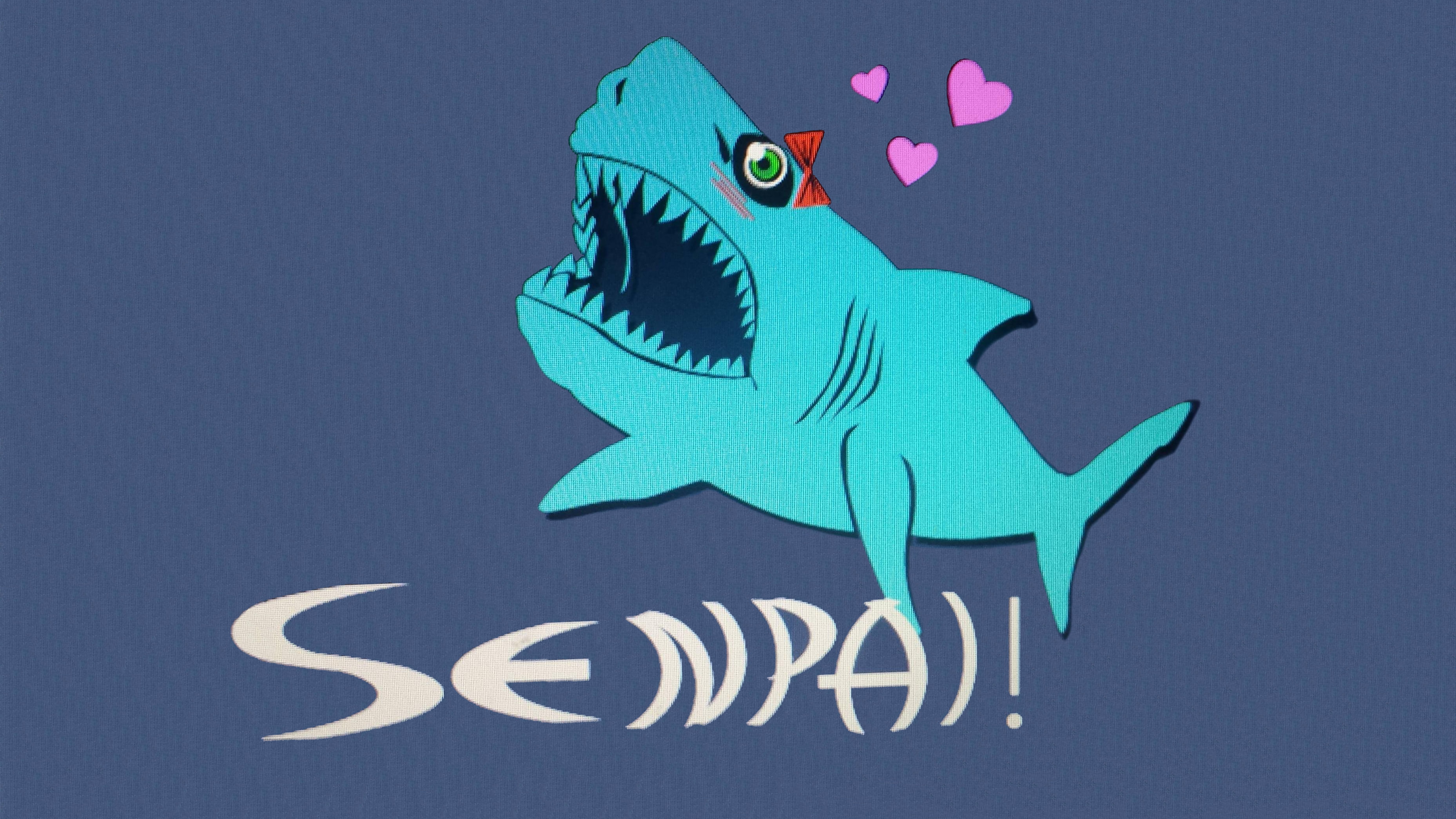 representation, 2K, blue, close-up, creativity, blue background, craft, toy, animal themes, colored background, heart, nature, no people, teeth, fish, HD Wallpaper