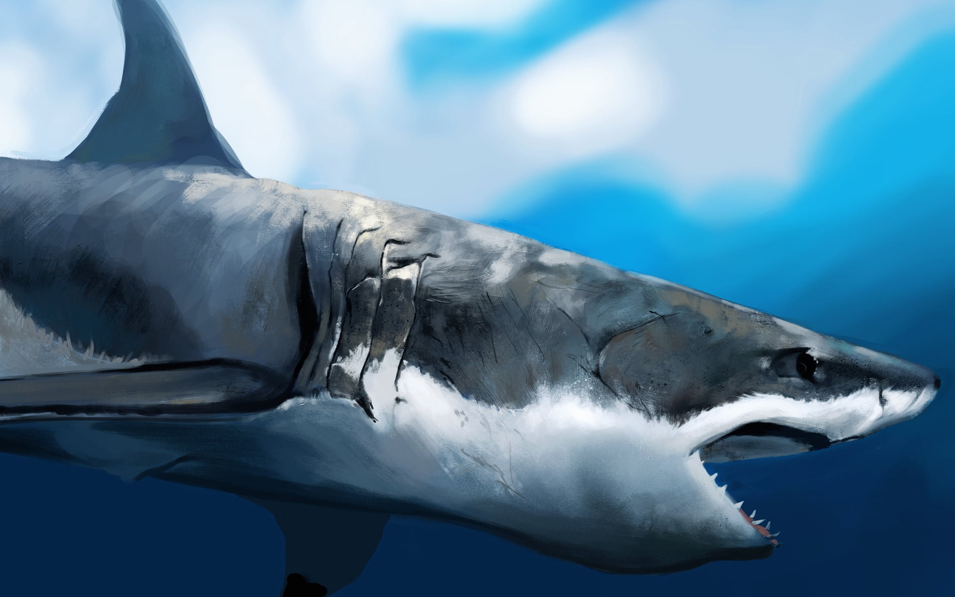 gray, great White Shark, under the water, no people, fish, art, sea, profile, wildlife, vertebrate, sea Life, undersea, water, mouth open, underwater, danger, HD Wallpaper