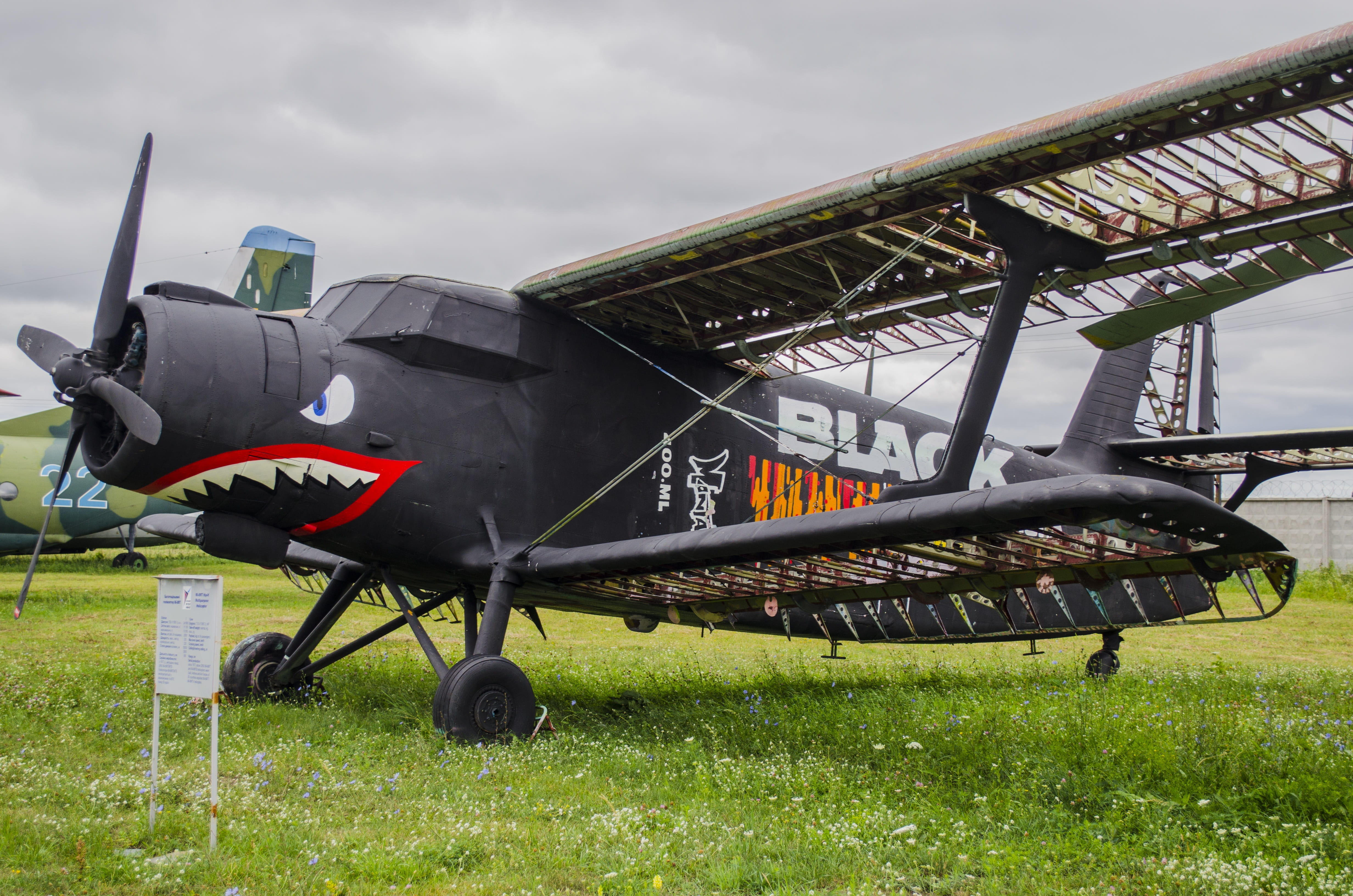 black, exhibit, airport, 4K, air vehicle, pictured, mode of transportation, wheel, day, figure, grass, military, shark, an-2, old, aerospace industry, HD Wallpaper