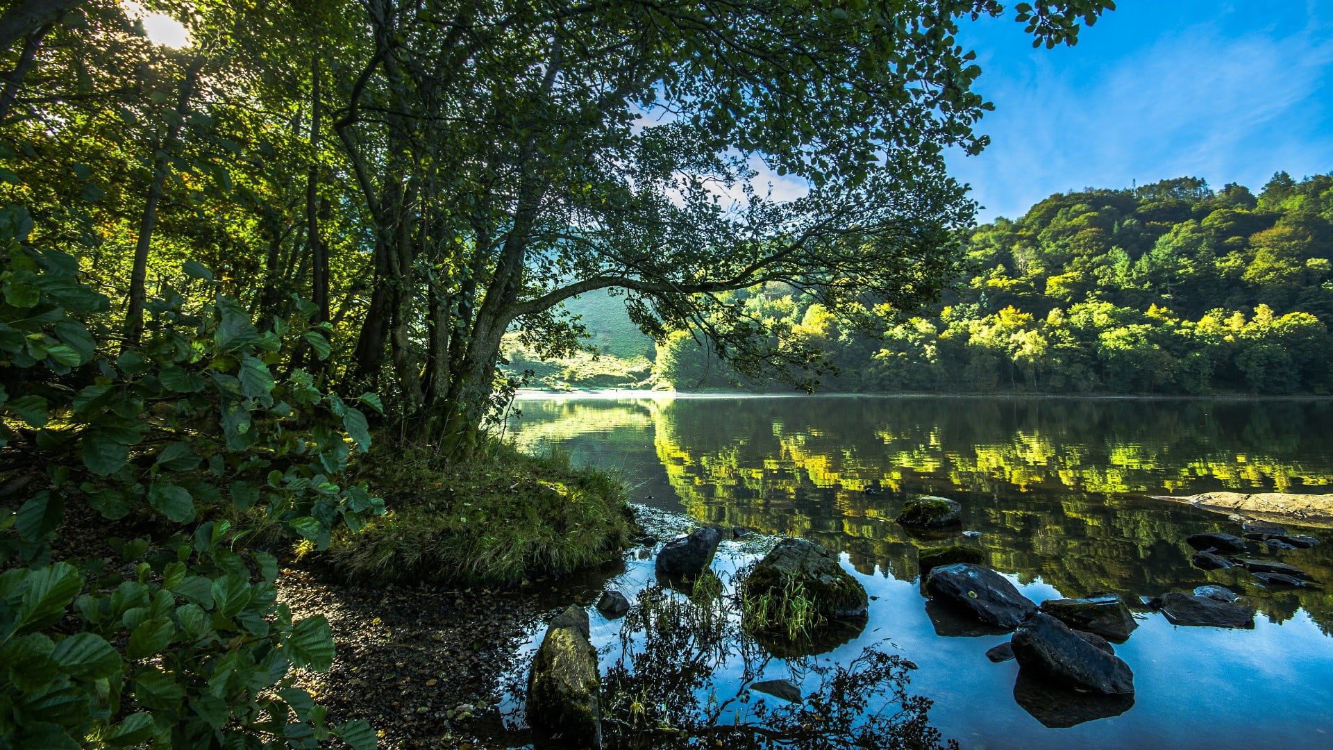 beauty in nature, nature, green color, sunlight, scenics - nature, tranquility, water, riverside, reflection, tranquil scene, bank, day, land, tree, river, HD Wallpaper