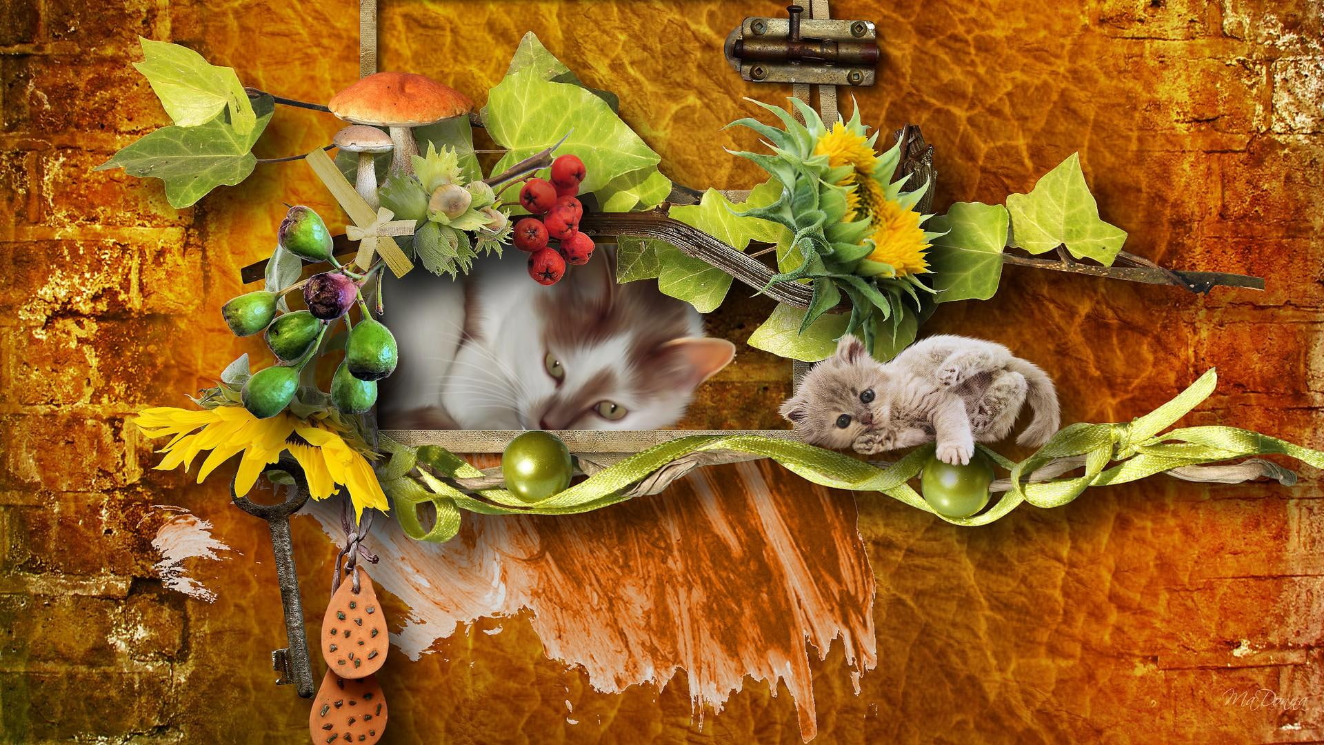 berries, autumns, vintage, 1080P, firefox persona, brick, antique, kitty, sleepy, autumn, wall, mushrooms, cats, kittens, fall, HD Wallpaper