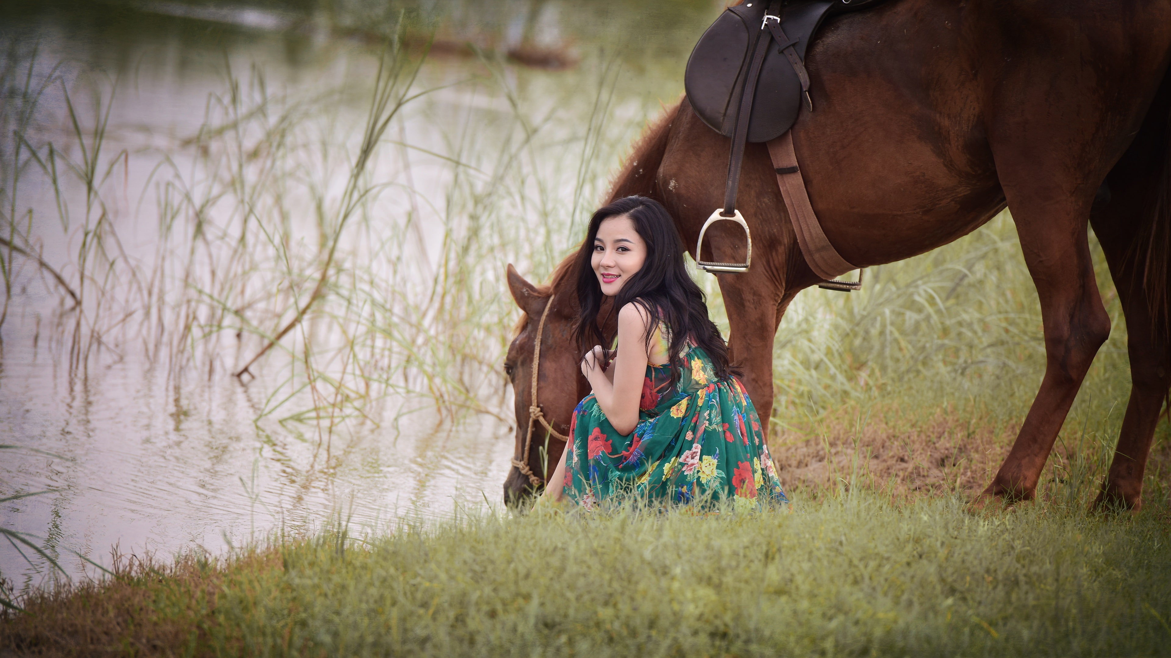 Look, Asian, 4K, Smile, Horse, Girl, Back, HD Wallpaper