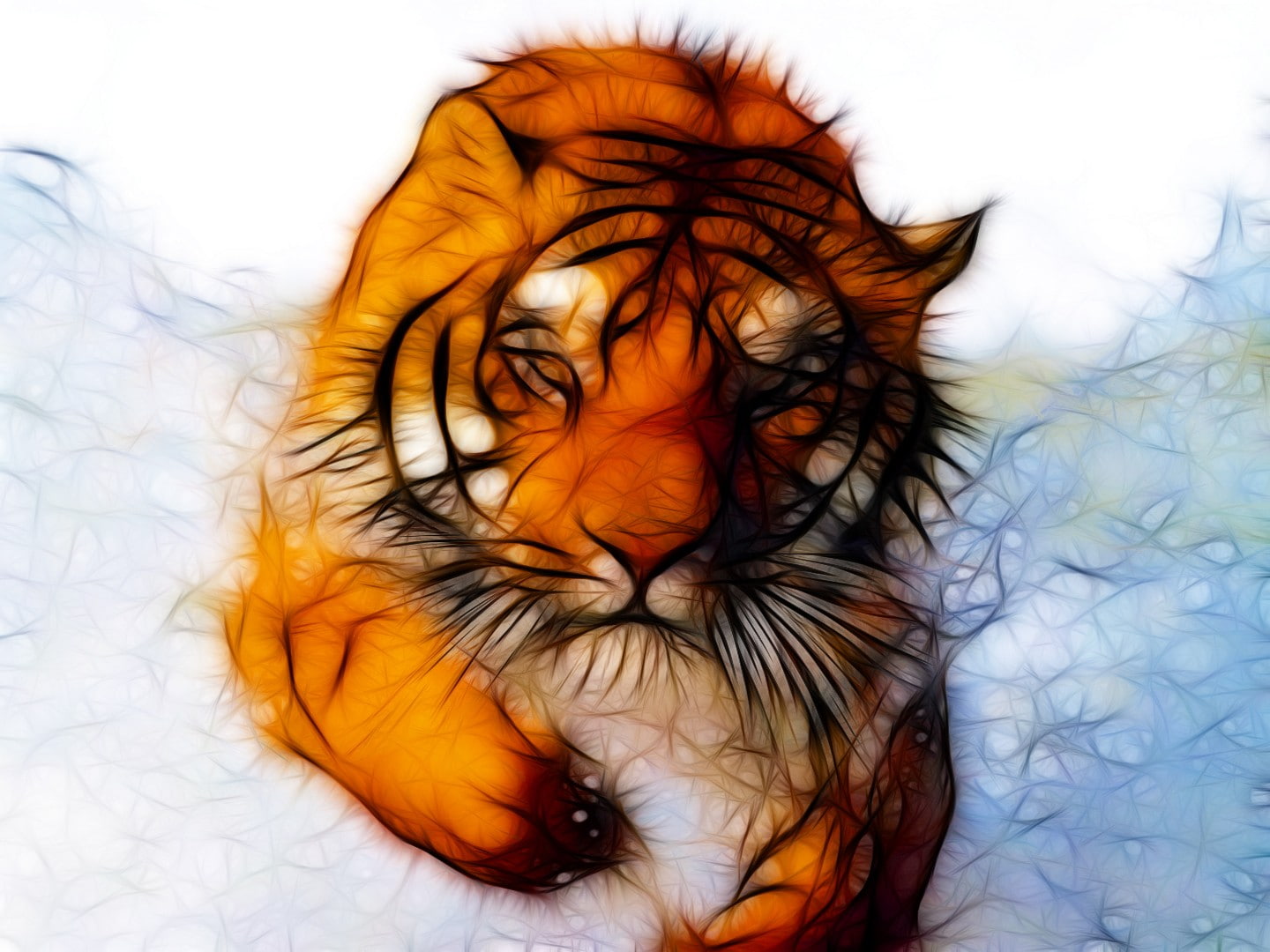 animal body part, tiger, human face, animal wildlife, animals in the wild, one animal, hair, human hair, eye, women, bird, 720P, human body part, one person, HD Wallpaper