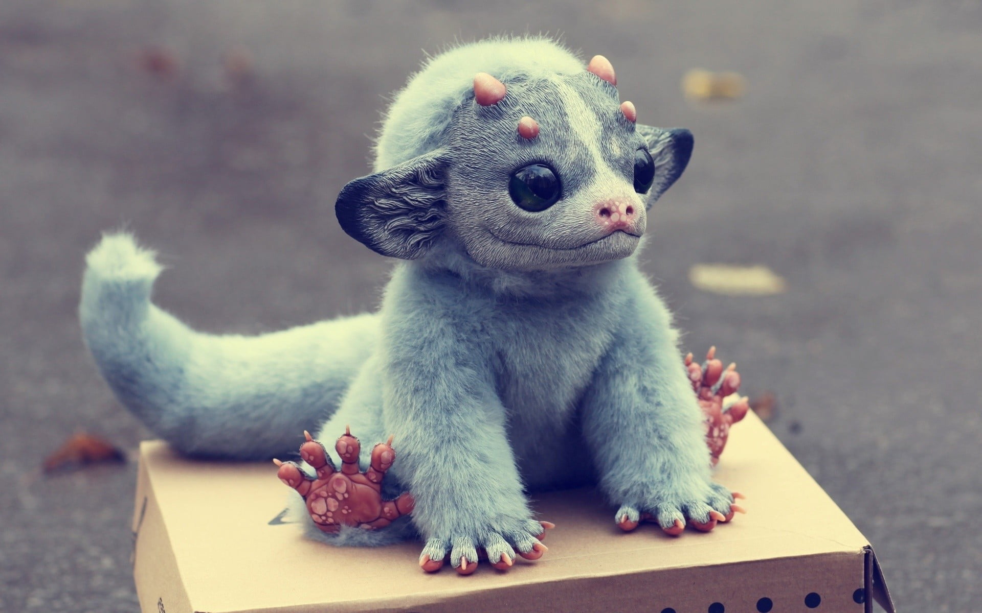 animal, vertebrate, animal themes, pets, full length, domestic animals, animal wildlife, dragon, looking away, toys, whisker, CG, one animal, close-up, HD Wallpaper