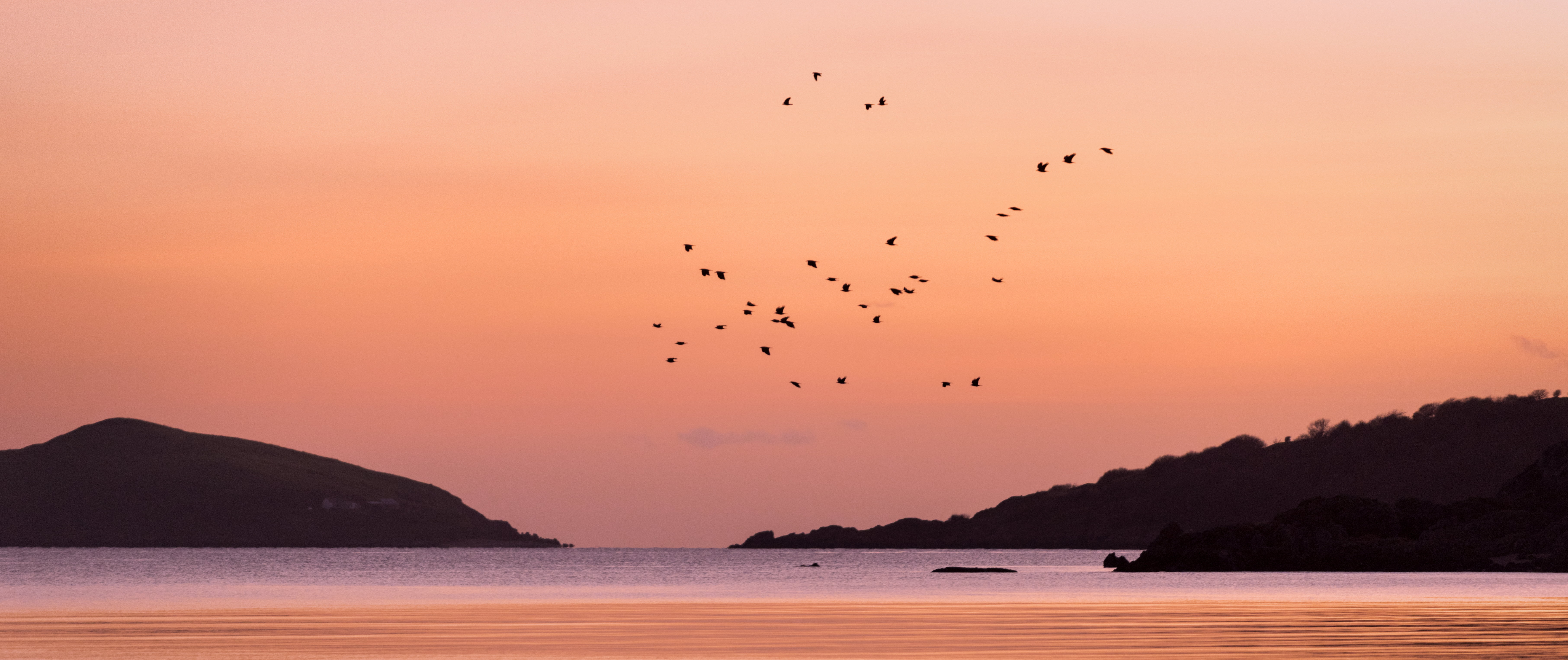 sky, Hestan  Island, 5K, birds, mountain, summer, dusk, landscape, nature, Rockcliffe, Seascape, flying, bird, Last Flight, outdoors, sunset, Island  Bay, HD Wallpaper