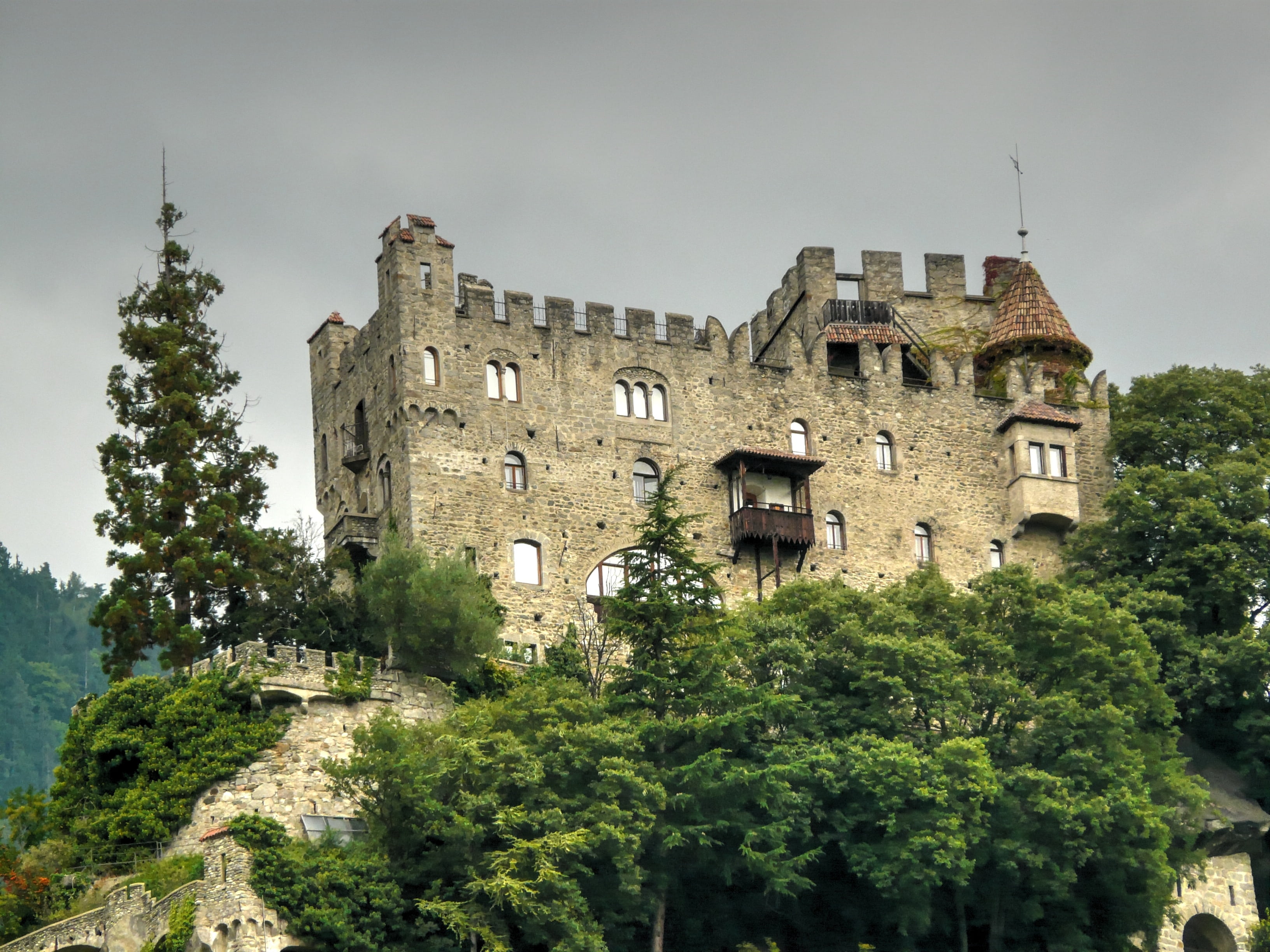 middle ages, the past, wall, meran, growth, 2K, plant, built structure, tree, building, green color, ruined, history, clear sky, architecture, fortress, HD Wallpaper