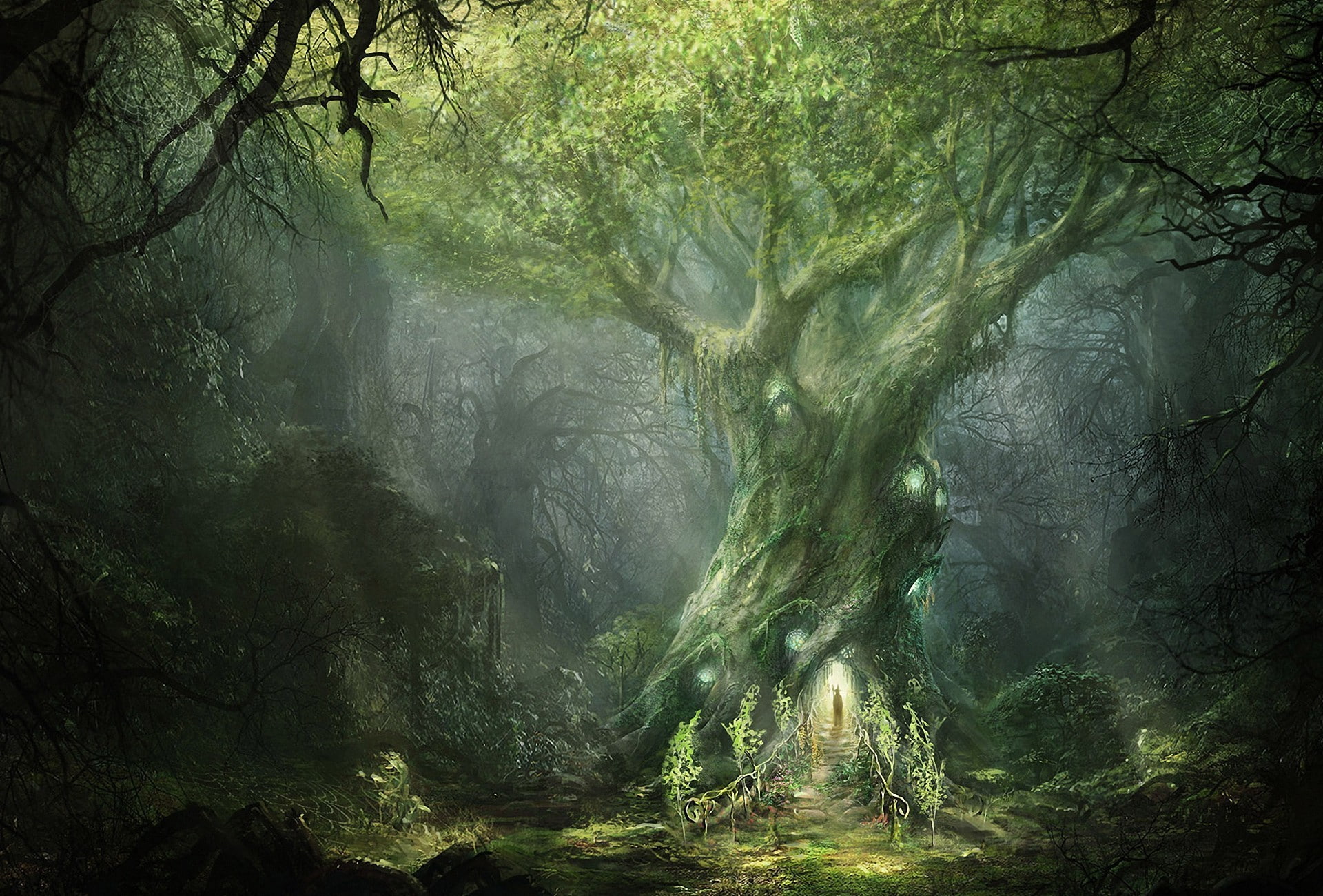 rings, tranquility, rainforest, in, war, branch, the, no people, scenics - nature, growth, lotr, Nazarov, Mag, of, fog, outdoors, tranquil scene, land, HD Wallpaper