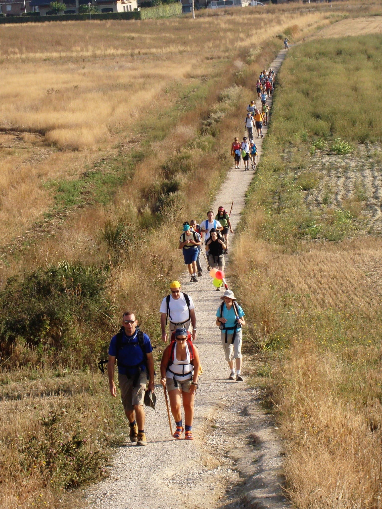 Camino, riding, men, land, plant, walker, group, adult, crowd, day, trail, outdoors, nature, field, activity, Path, people, mammal, walking, 1080P, Santiago, Phone HD Wallpaper