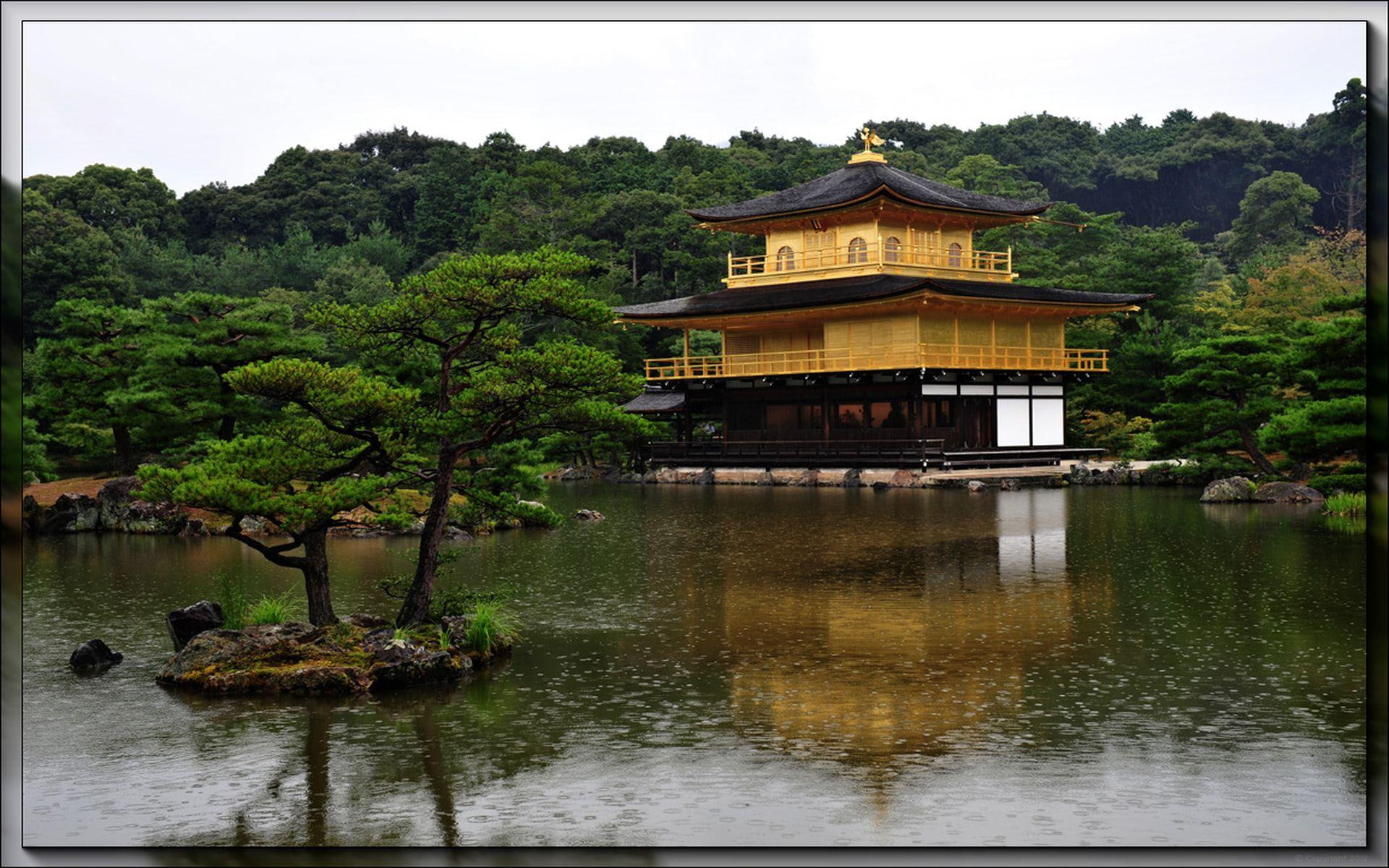 temple, garden, 1080P, rain, yellow, japan, brown, black, tree, beautiful, 3d and abstract, HD Wallpaper