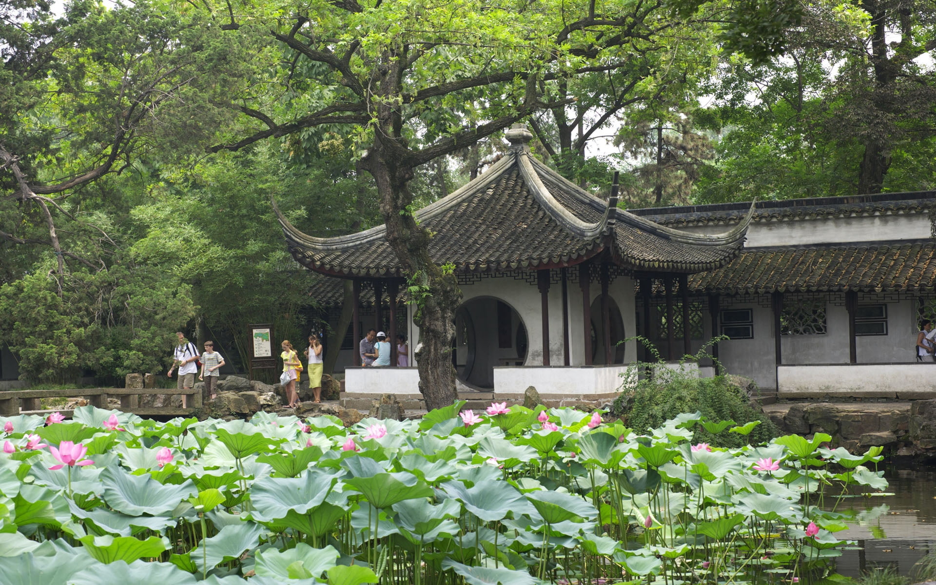 growth, furniture, no people, travel, building Exterior, park - Man Made Space, plant, palace, green color, building, temple - Building, east Asian Culture, HD Wallpaper
