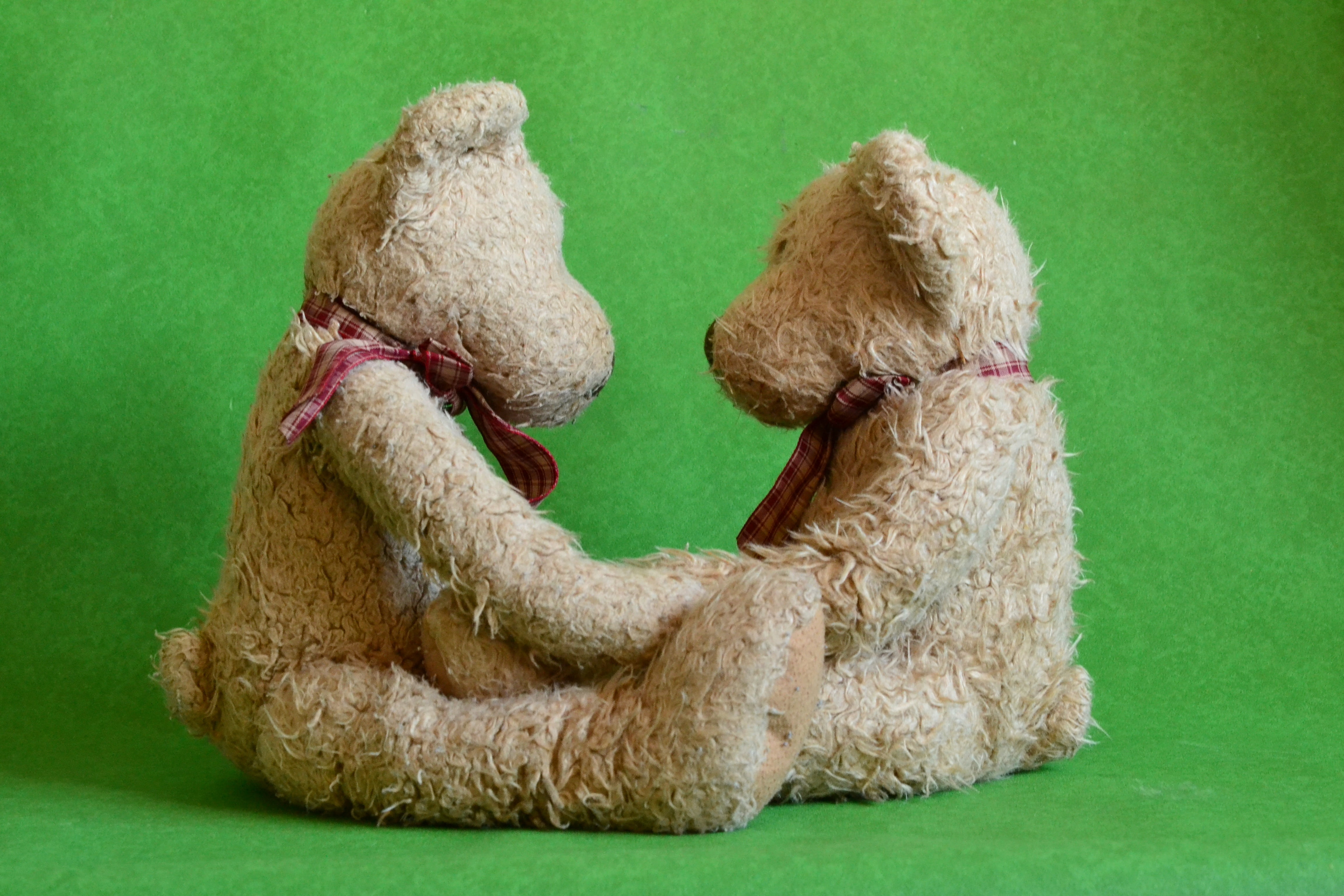 teddy bear, two, teddy, classic, adorable, relationship, love, two objects, 4K, brown, bear, together, toy, studio shot, close, childhood, teds, softness, HD Wallpaper